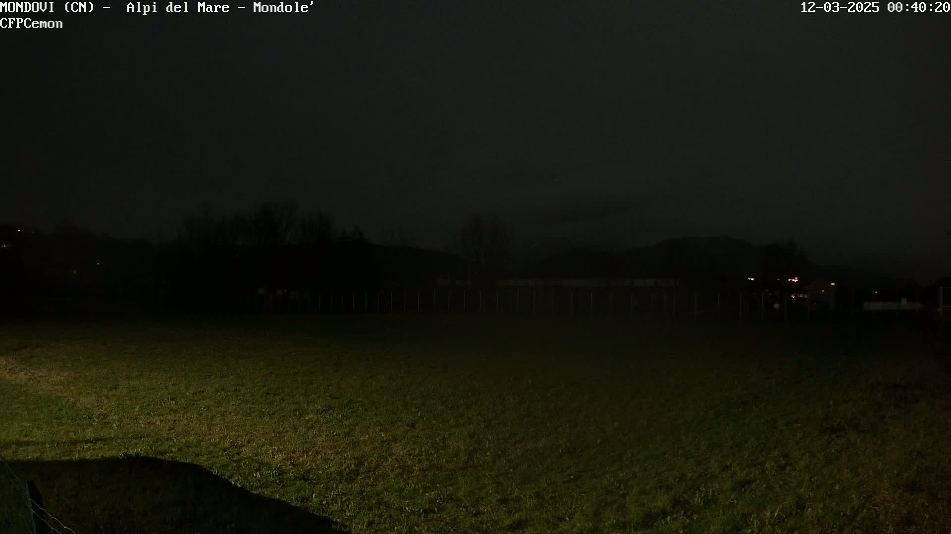A dark, grassy field is visible at night, with a dimly lit treeline and distant hills in the background under a mostly clear sky.