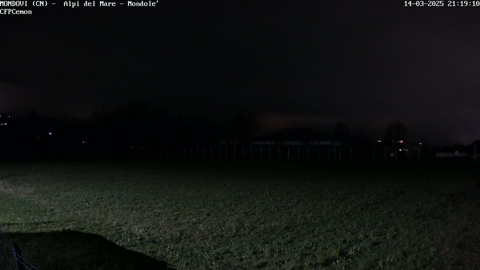 A dark, nighttime scene shows a grassy field with a fence in the background under a mostly clear, dark sky.