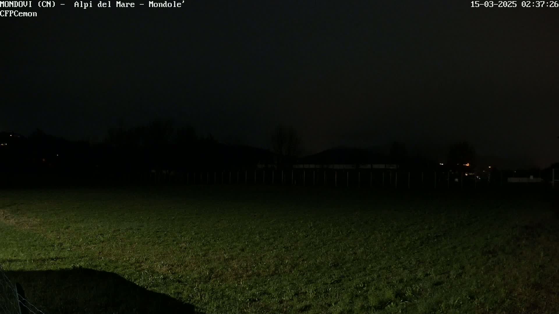 A dark, nighttime scene shows a grassy field, a distant dark line of trees and buildings, and a mostly overcast sky.