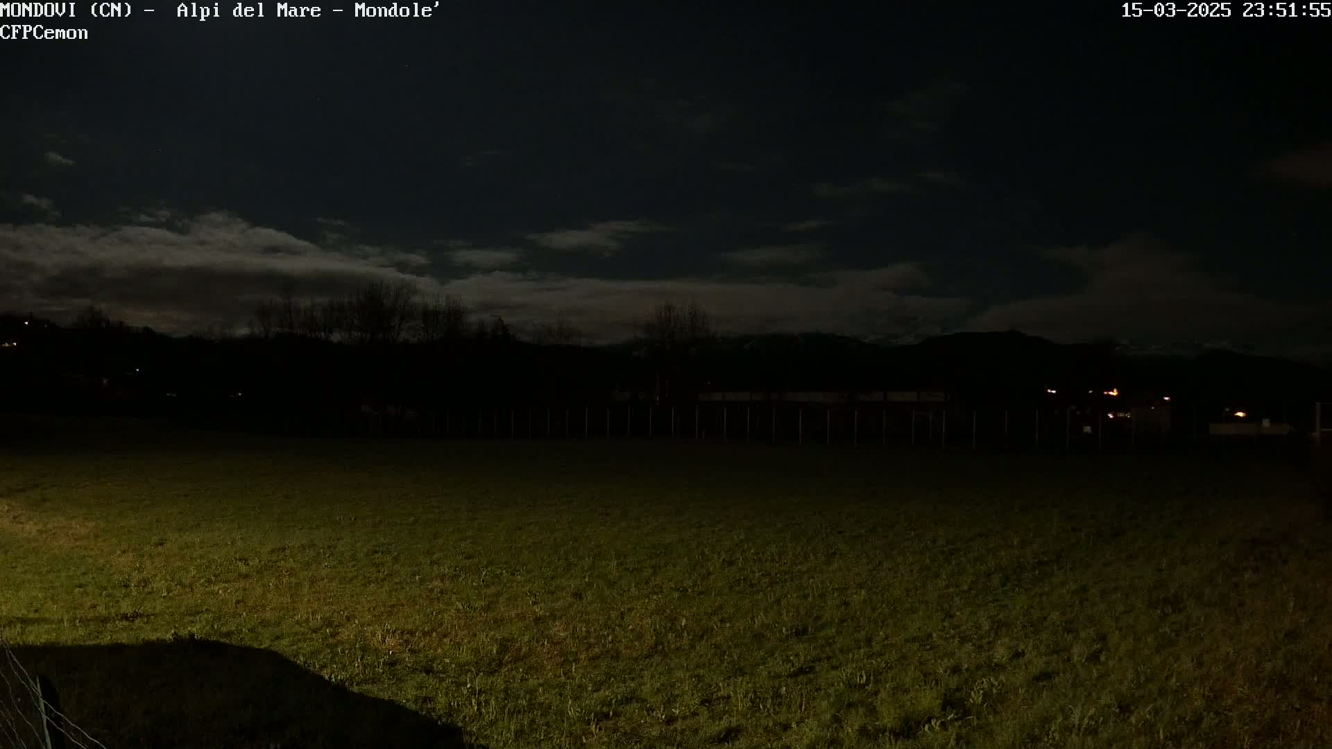 A nighttime view of a grassy field under a partly cloudy sky, with a dark treeline and distant hills in the background.