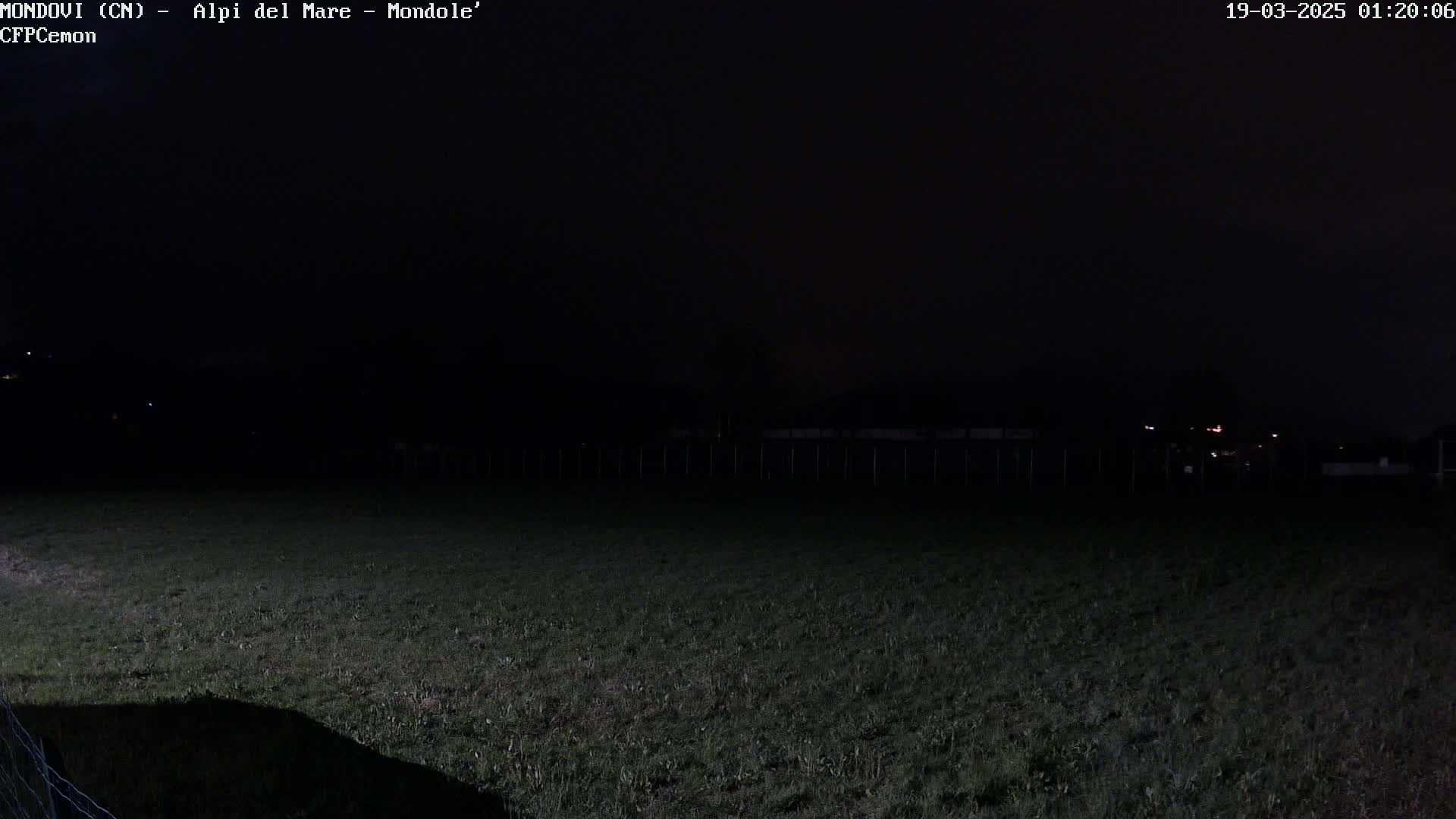 A dark, grassy field is visible at night under a mostly clear sky, with faint lights in the distance.