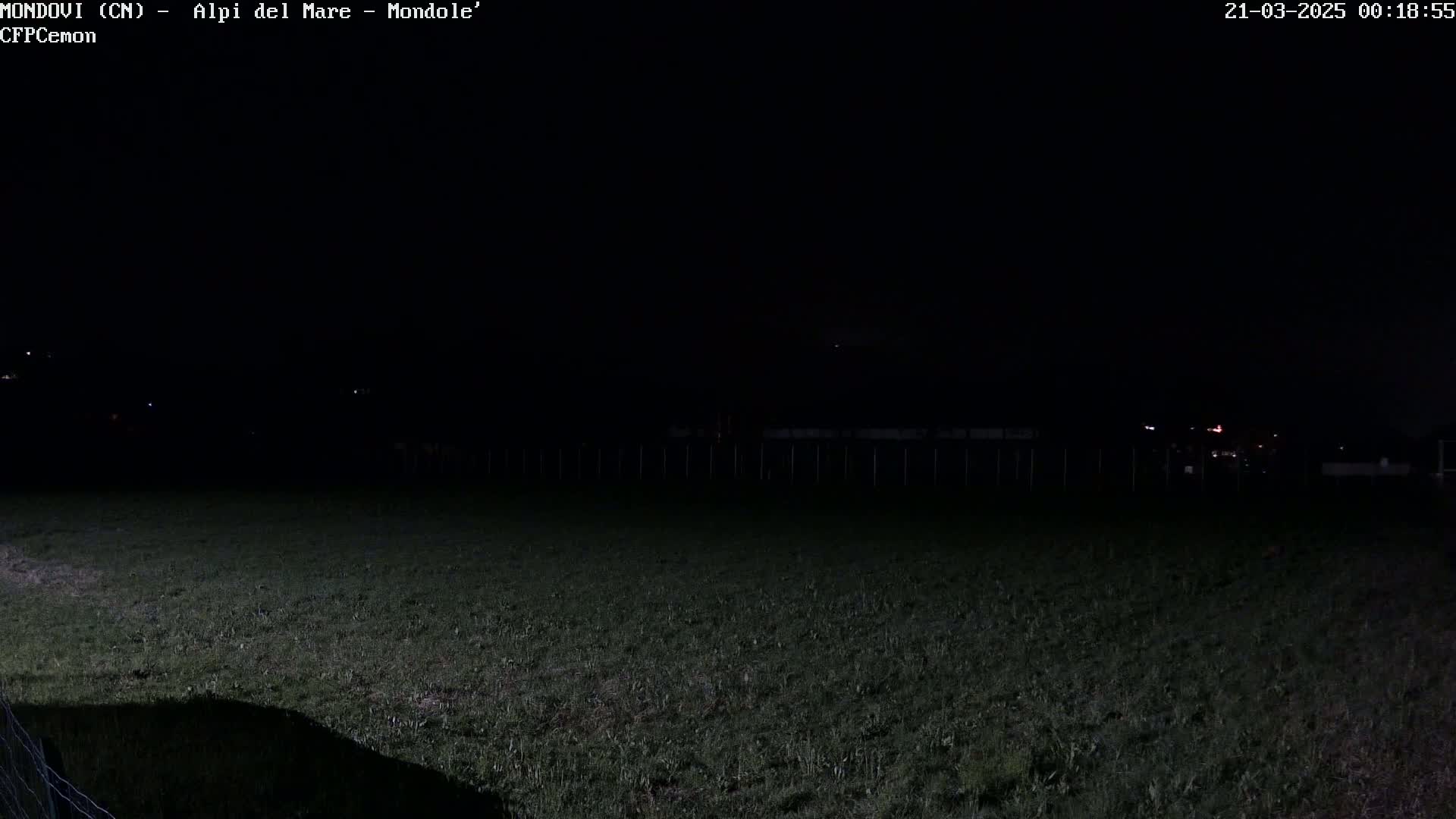 A dark nighttime view of a grassy field with a fence in the distance, under a clear sky.