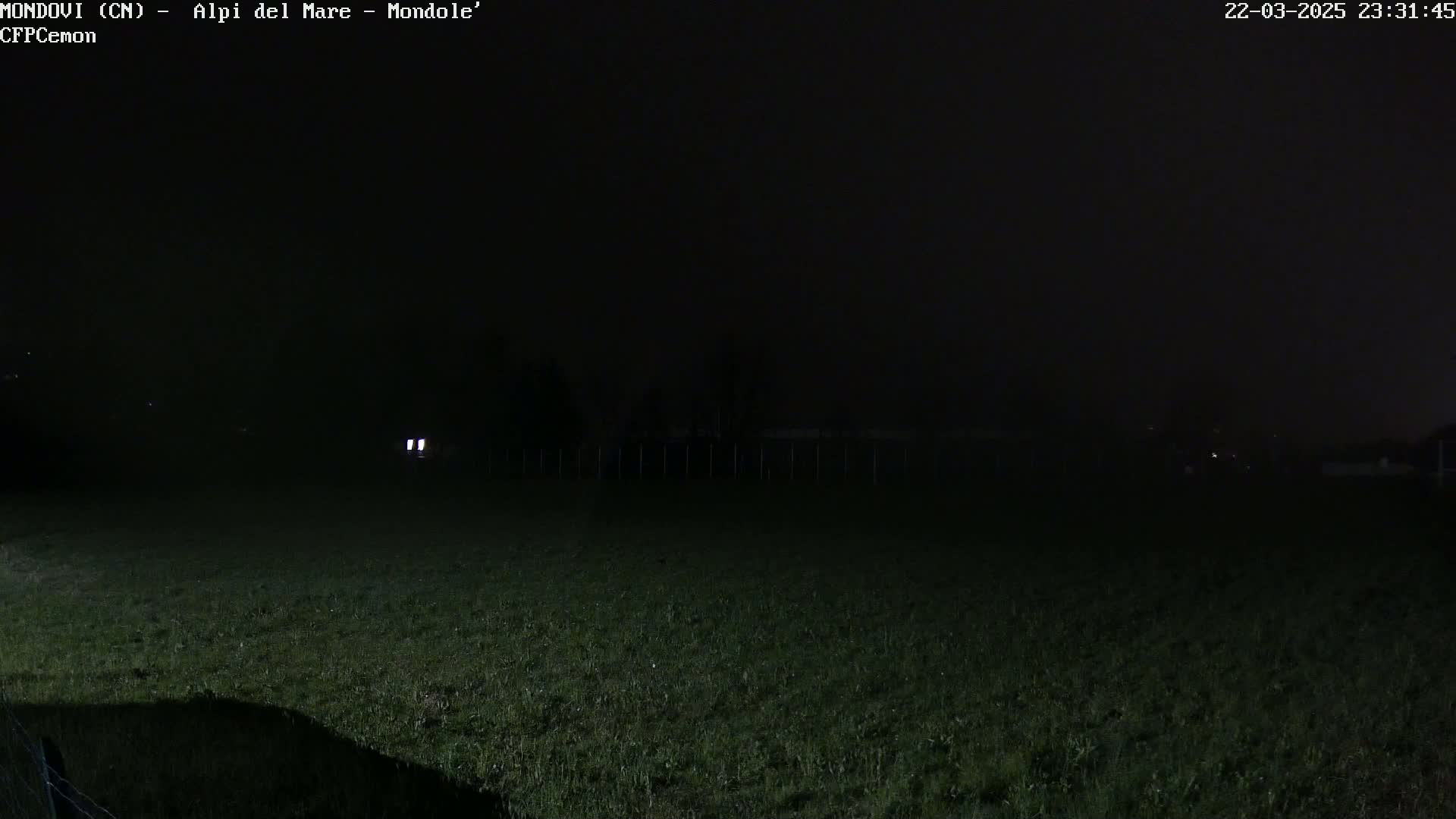 A dark, nighttime scene shows a grassy field with a faint fence and distant lights under foggy conditions.