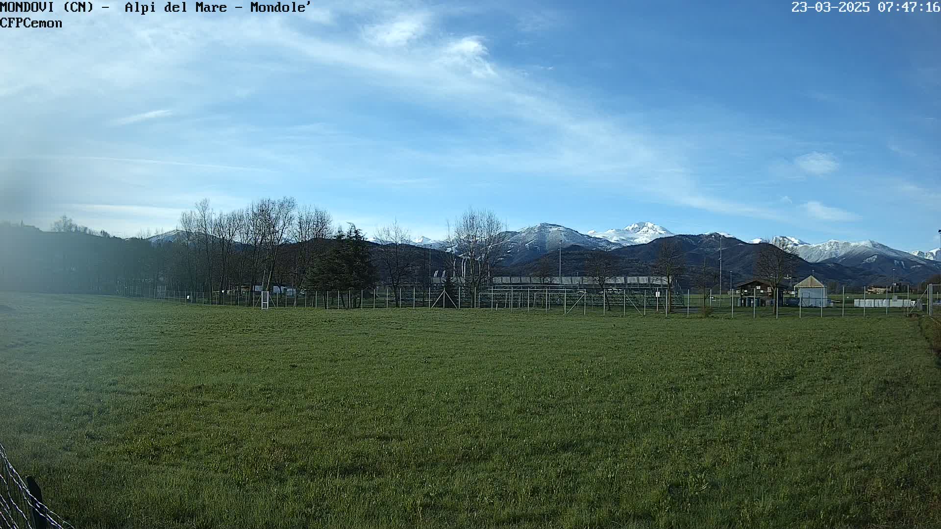 A grassy field extends towards snow-capped mountains under a mostly clear blue sky.