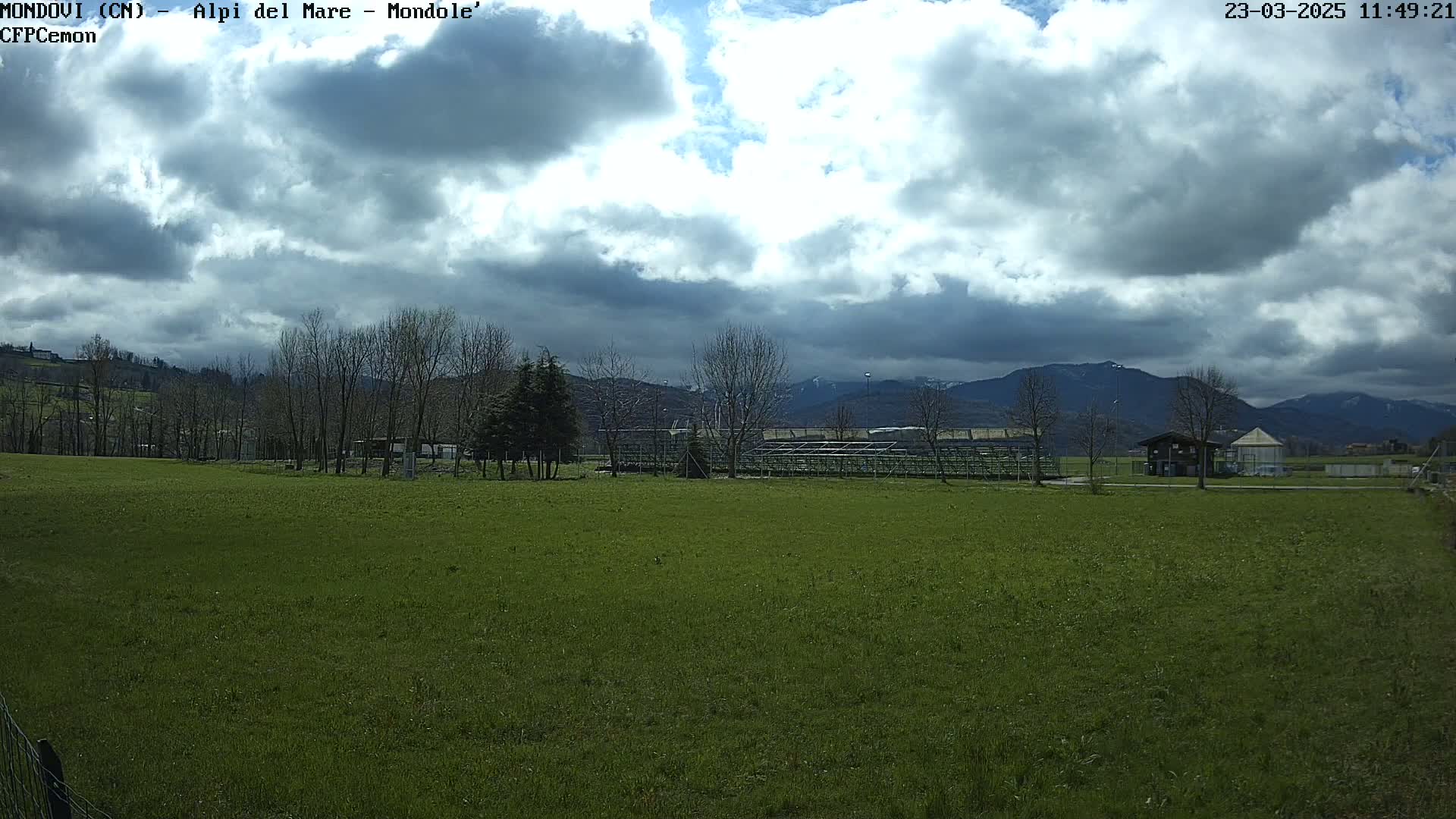 A mostly cloudy sky hangs over a wide expanse of short, green grass, with bare trees and distant mountains visible in the background.