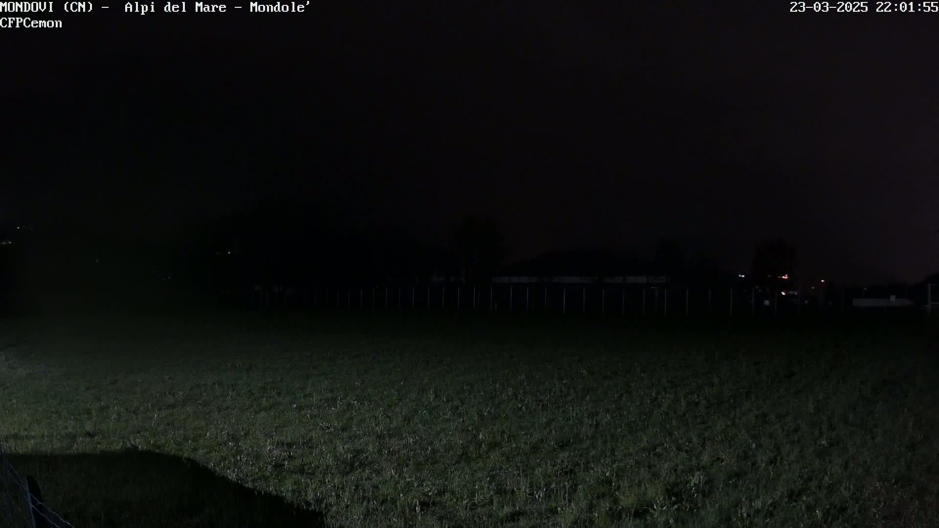 A dark, nighttime field is visible under a black sky, with a fence and dimly lit structures in the background.