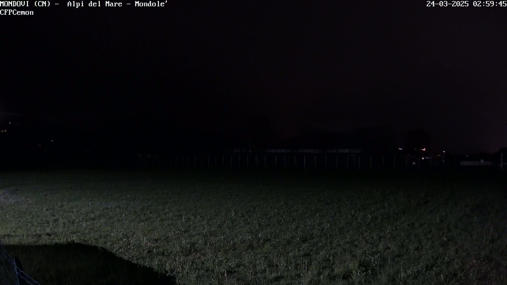 A dark, nighttime view shows a grassy field with a fence in the background under a clear, black sky.