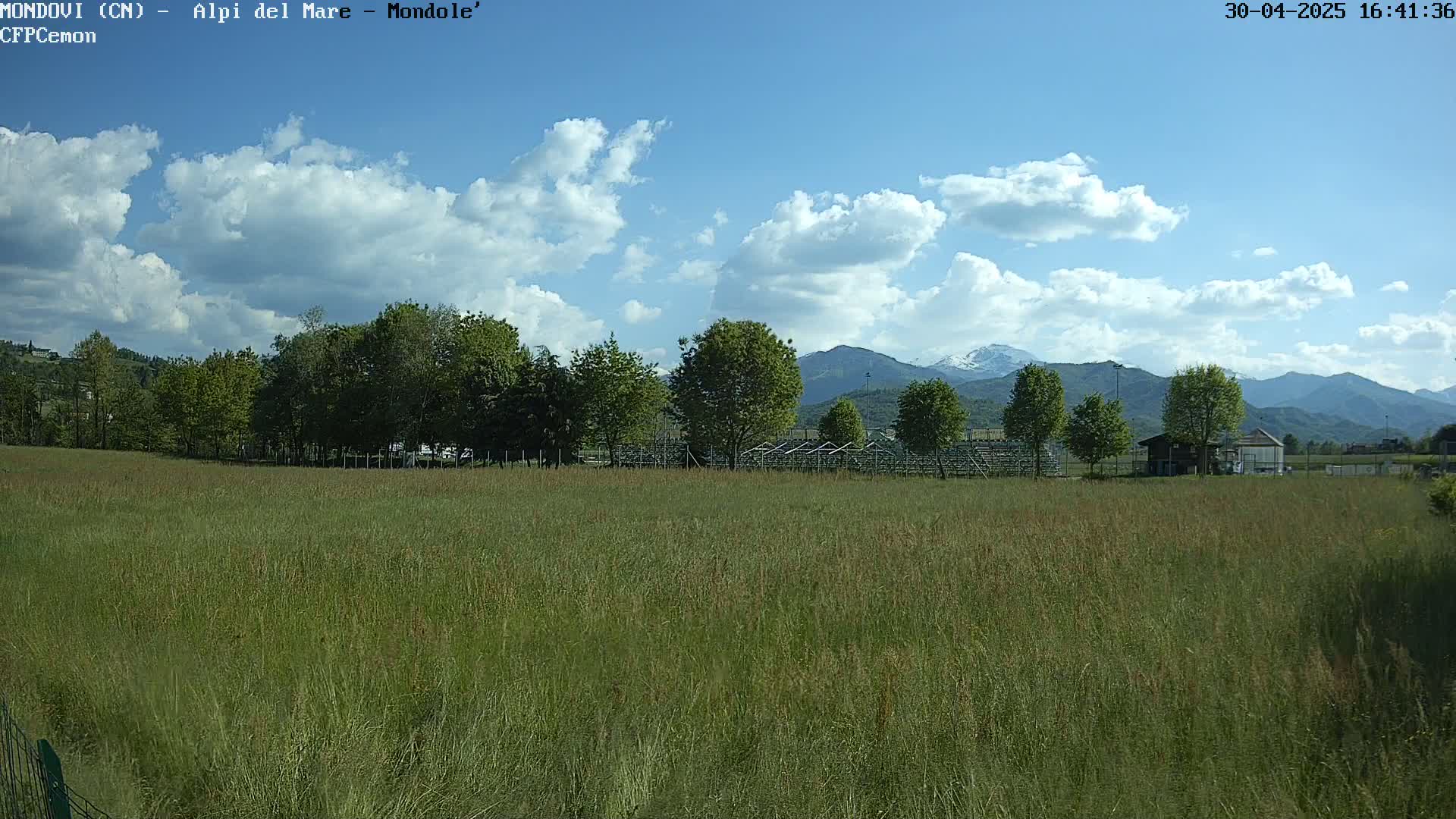 A grassy field stretches out before a line of trees, beyond which are mountains under a partly cloudy sky.