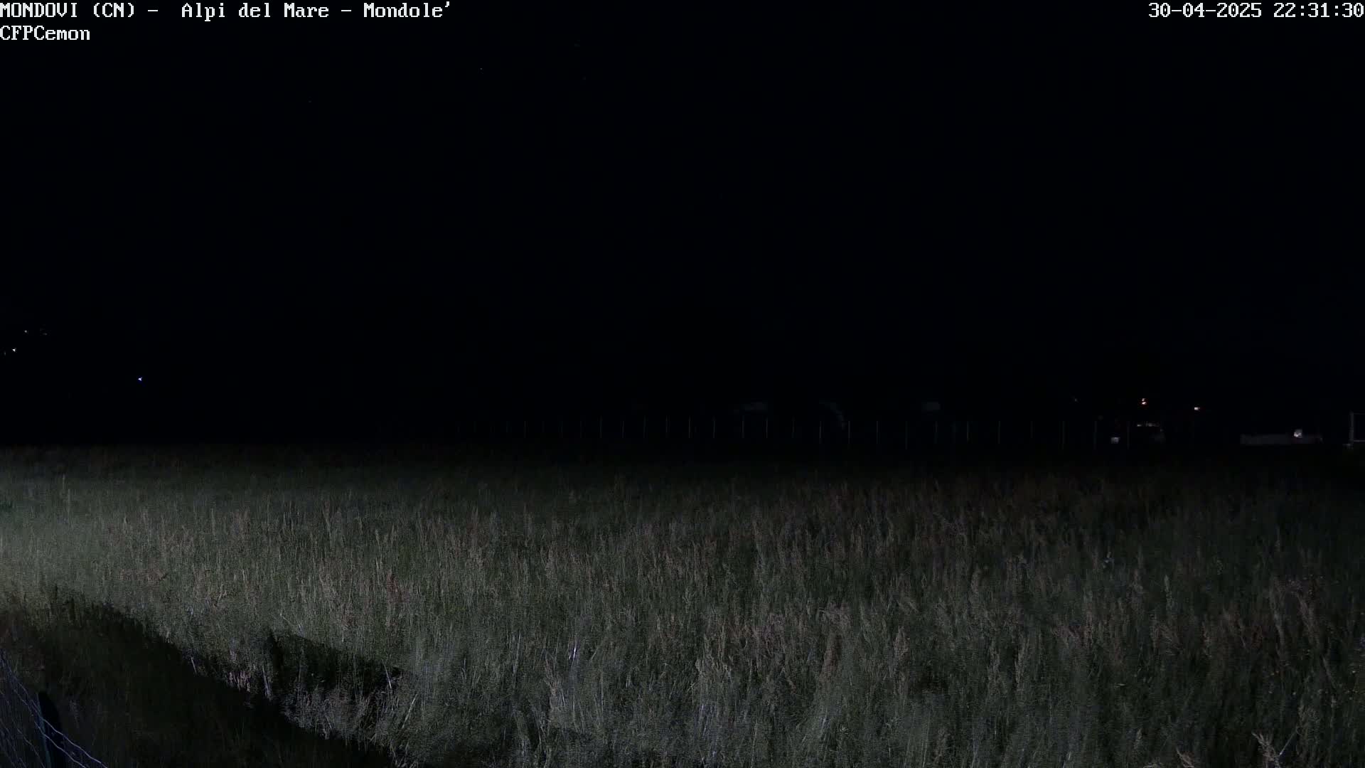 A dark, nighttime scene shows a field of tall grass next to a body of still water under a clear, black sky.