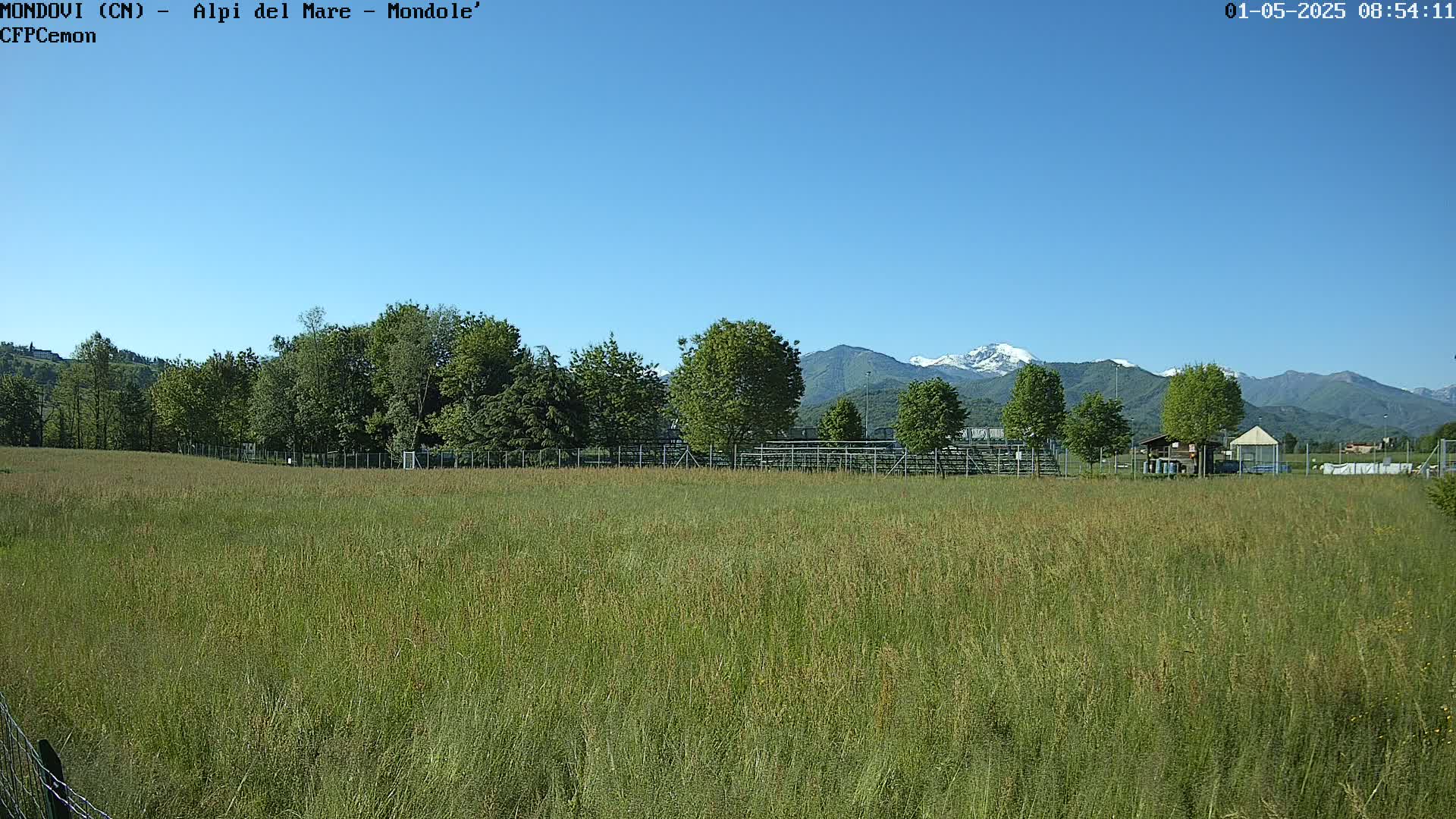 A field of tall grass stretches toward a line of trees and bleachers, beyond which snow-capped mountains rise under a clear blue sky.