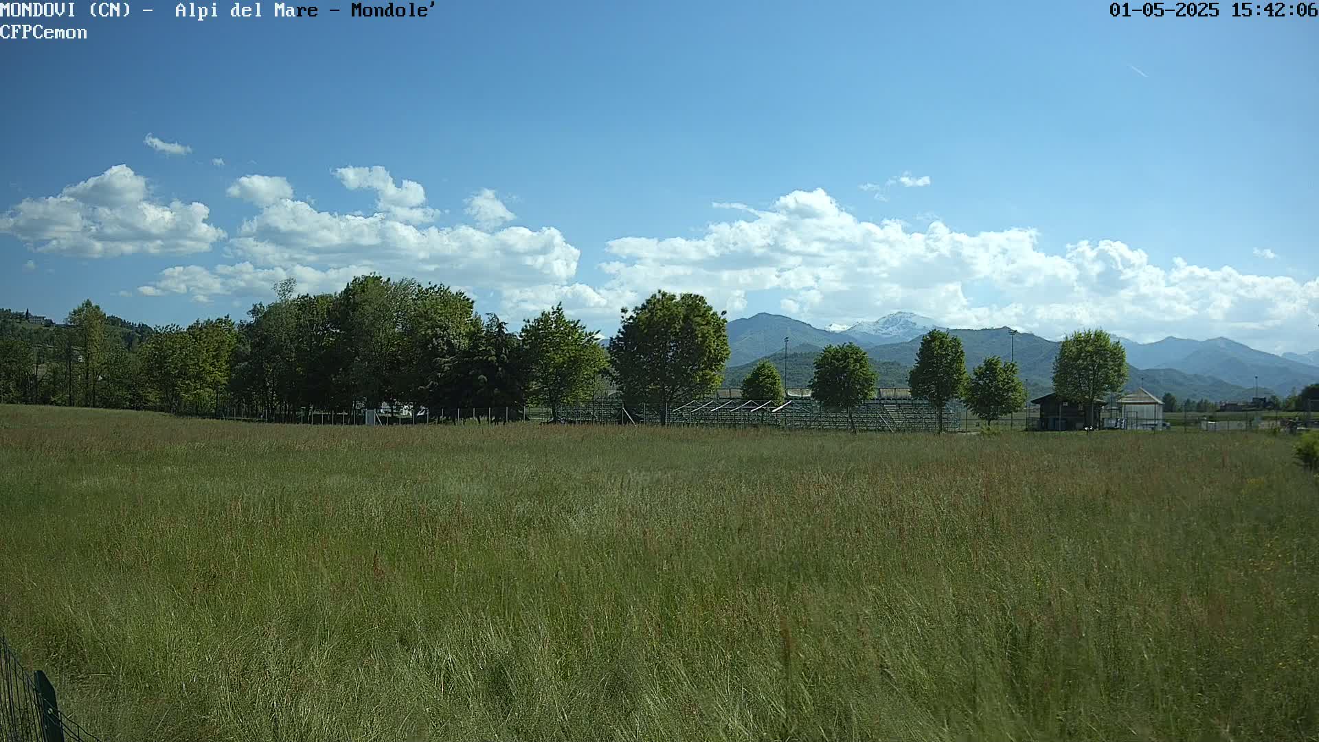 A grassy field stretches towards a line of trees and distant mountains under a partly cloudy blue sky.