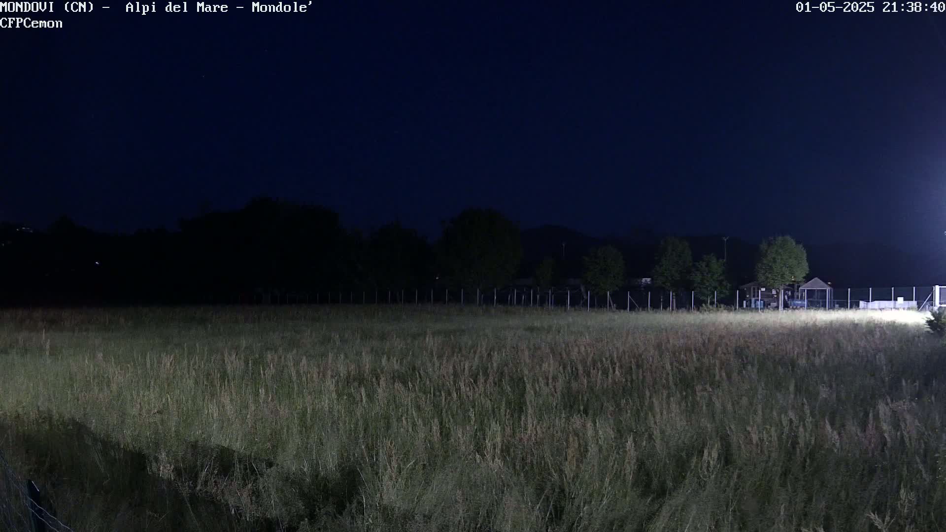 A field of tall grass is visible under a dark night sky, with a line of trees and a building in the background.