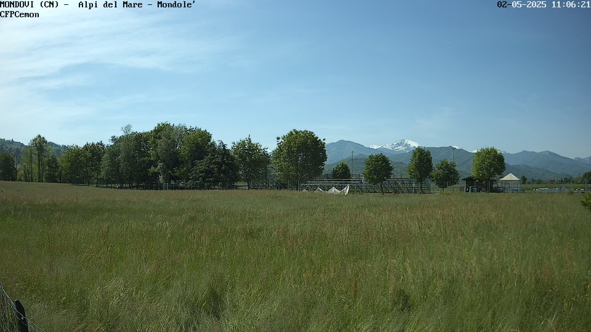 A field of tall grass stretches to a line of trees, beyond which snow-capped mountains are visible under a clear blue sky.