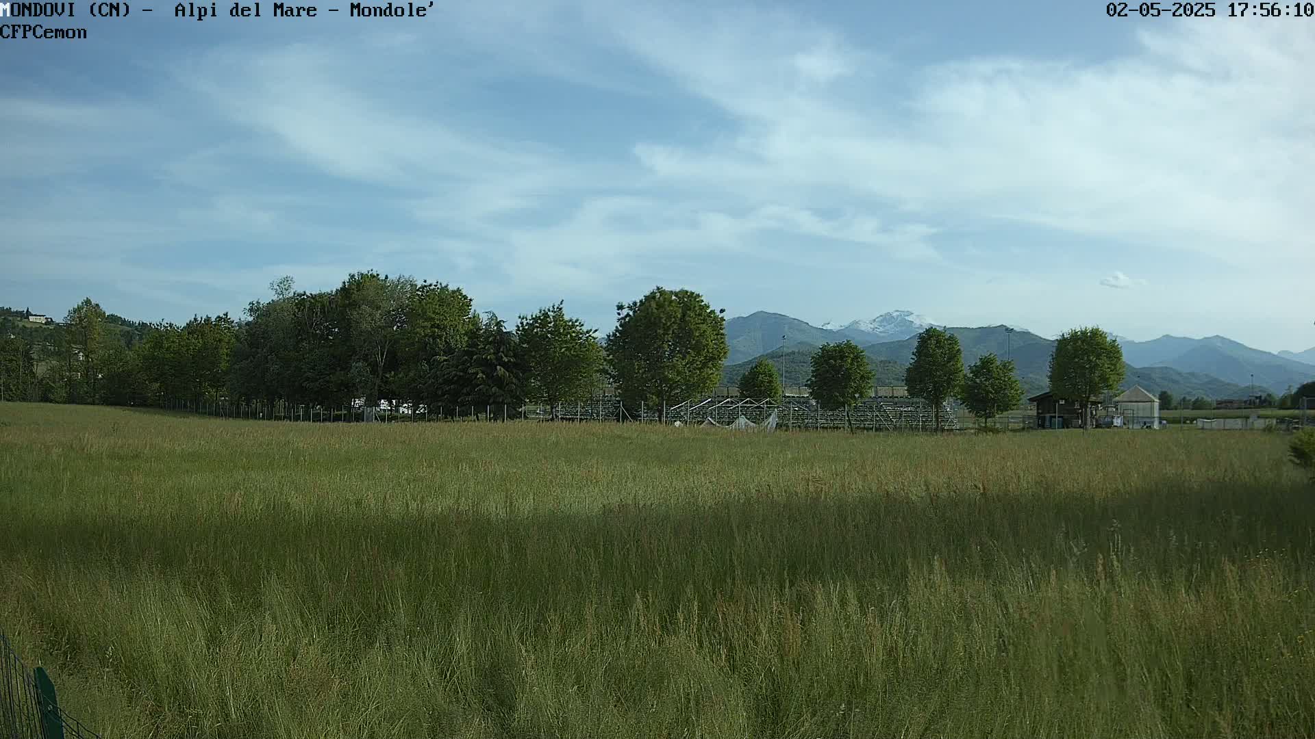 A grassy field stretches towards a line of trees and distant mountains under a partly cloudy sky.