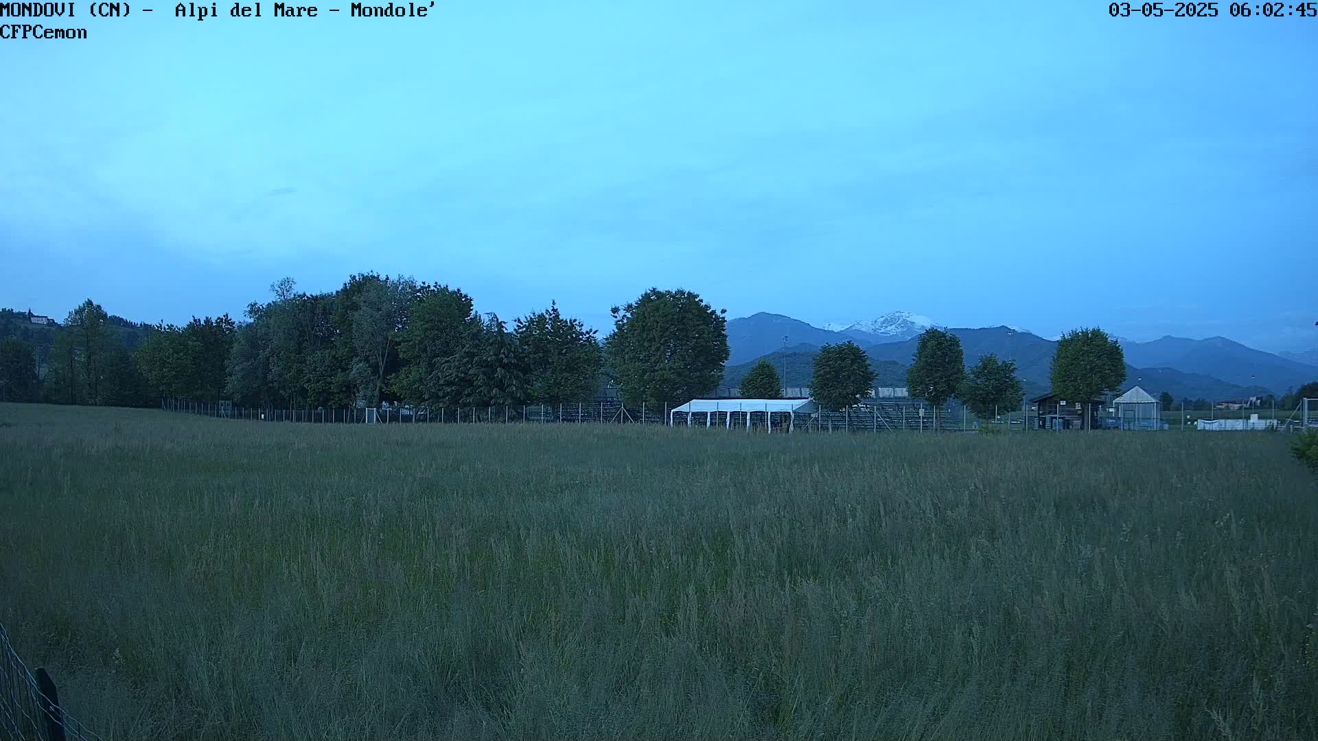 A long field of tall grass sits before a line of trees, a white tent, and distant mountains under a twilight sky.