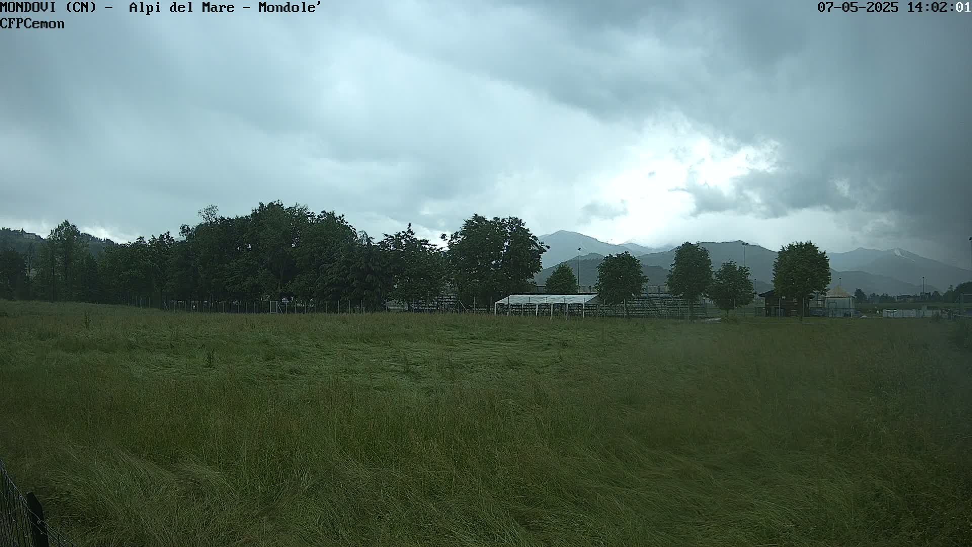 A field of tall grass blowing in the wind stretches toward a line of trees and distant mountains under an overcast sky.