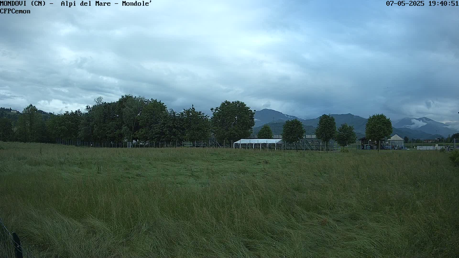 A field of tall grass sways gently under a mostly cloudy sky, with trees and mountains in the background.