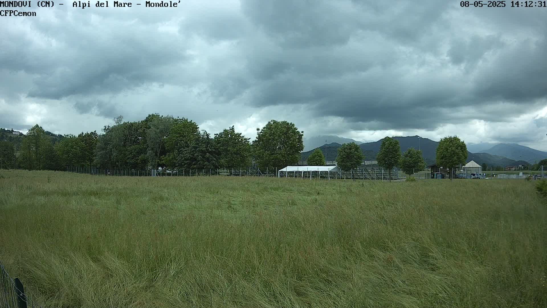 A long field of tall grass stretches towards a line of trees and distant mountains under a cloudy sky.