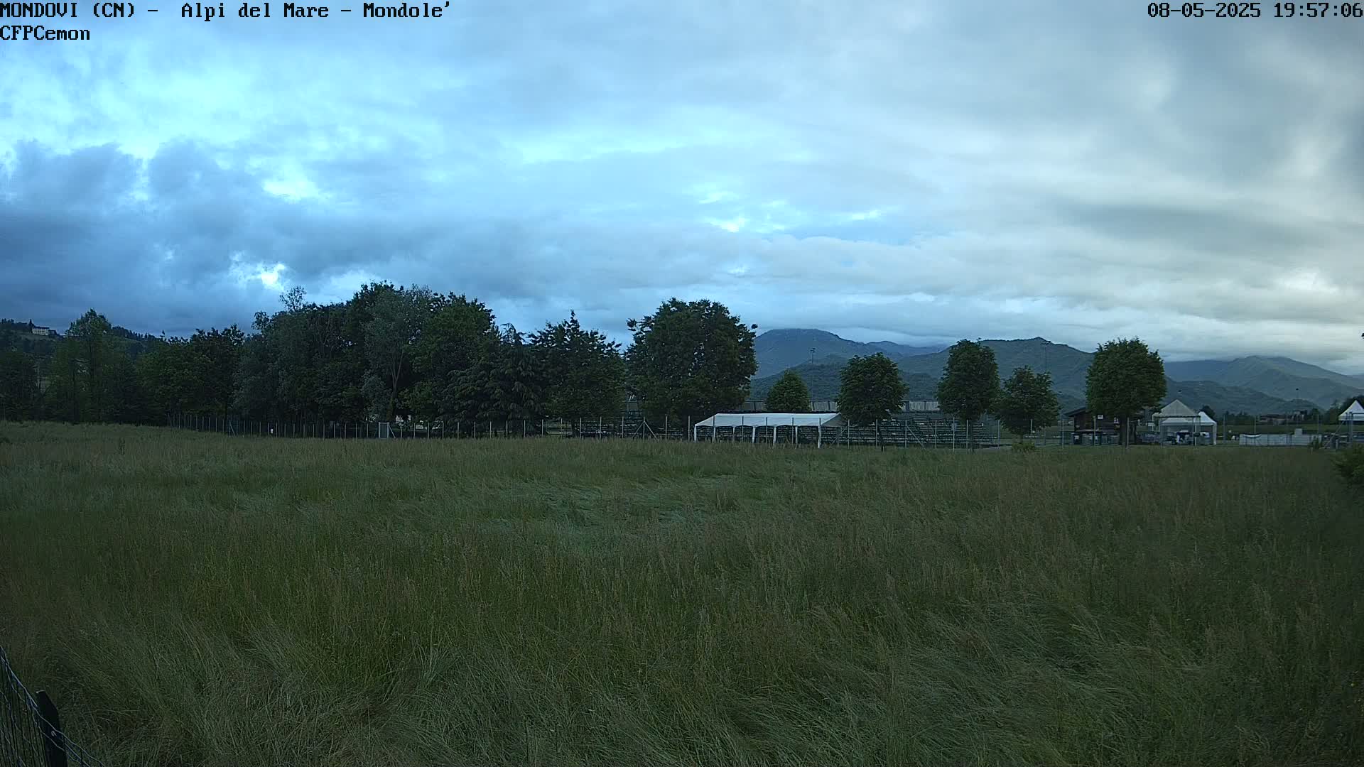 A field of tall grass stretches towards a line of trees and distant mountains under a mostly cloudy sky.