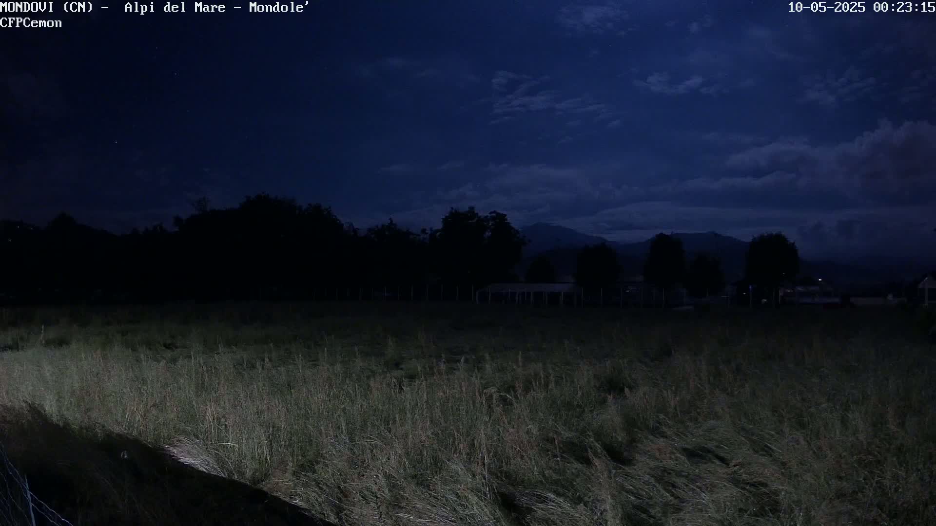 A field of tall grass under a dark, cloudy night sky, with silhouetted trees and distant mountains in the background.