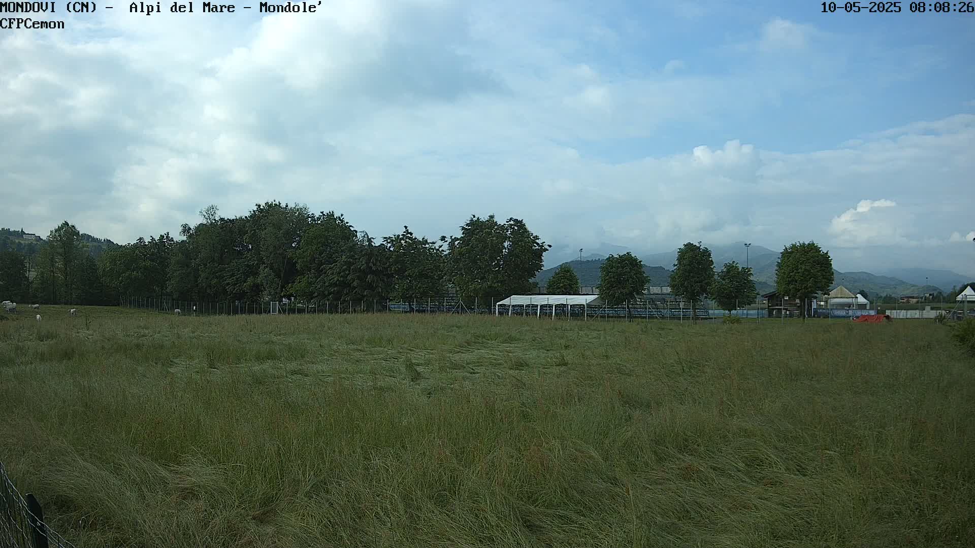 A grassy field with a few sheep, a white tent, and trees in the background under a partly cloudy sky.