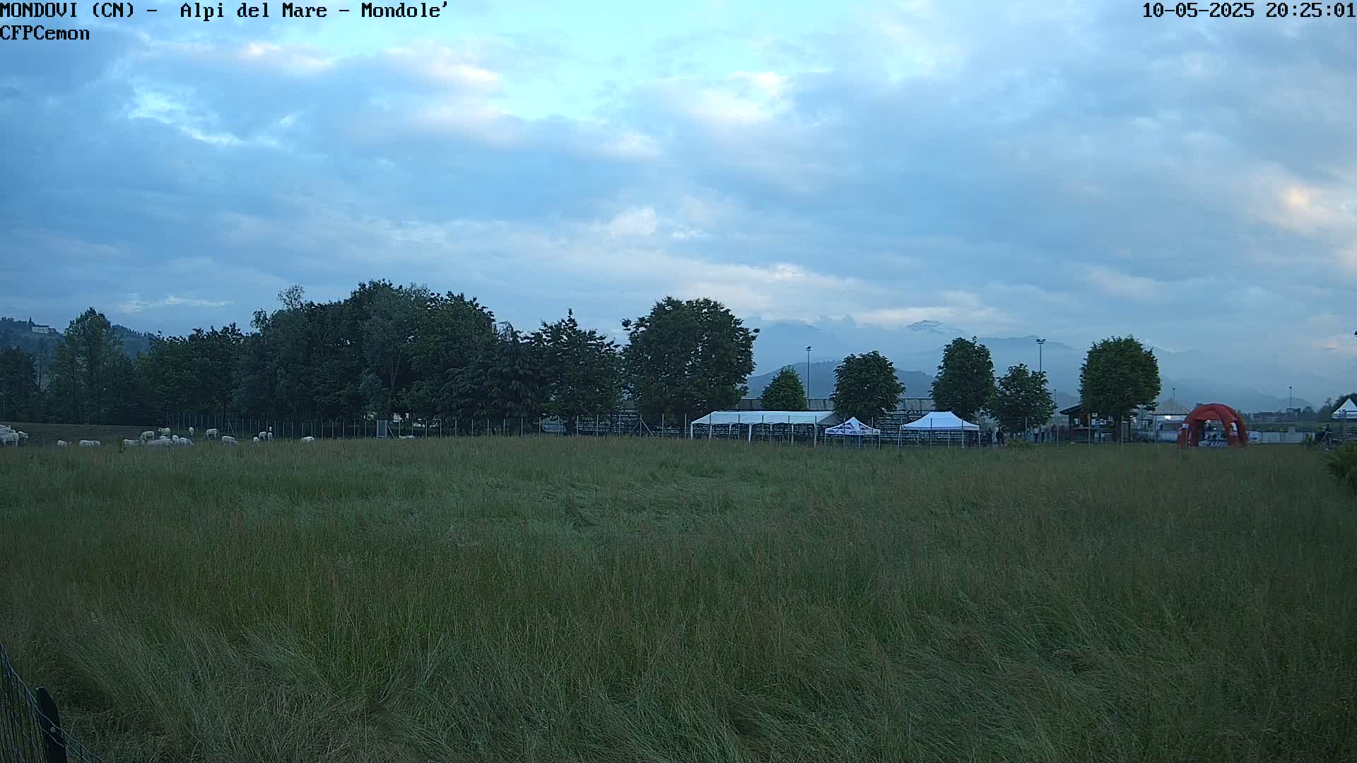 A field of tall grass under a partly cloudy sky, with a line of trees, several tents, and a flock of sheep in the distance, mountains visible in the background.
