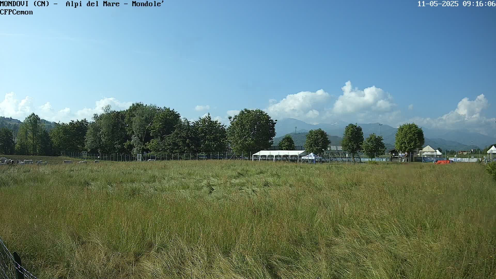 A field of tall grass stretches towards a line of trees and distant mountains under a partly cloudy sky.