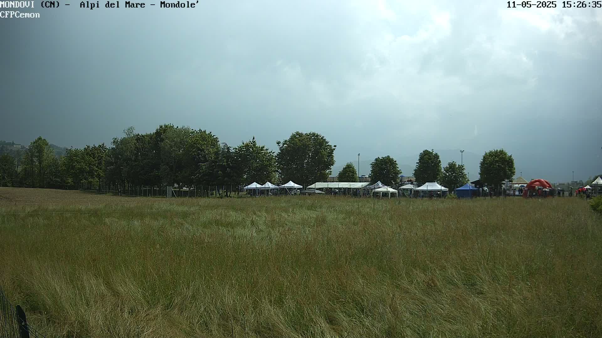 A field of tall grass stretches out before a line of white tents situated behind a stand of trees under a cloudy sky.