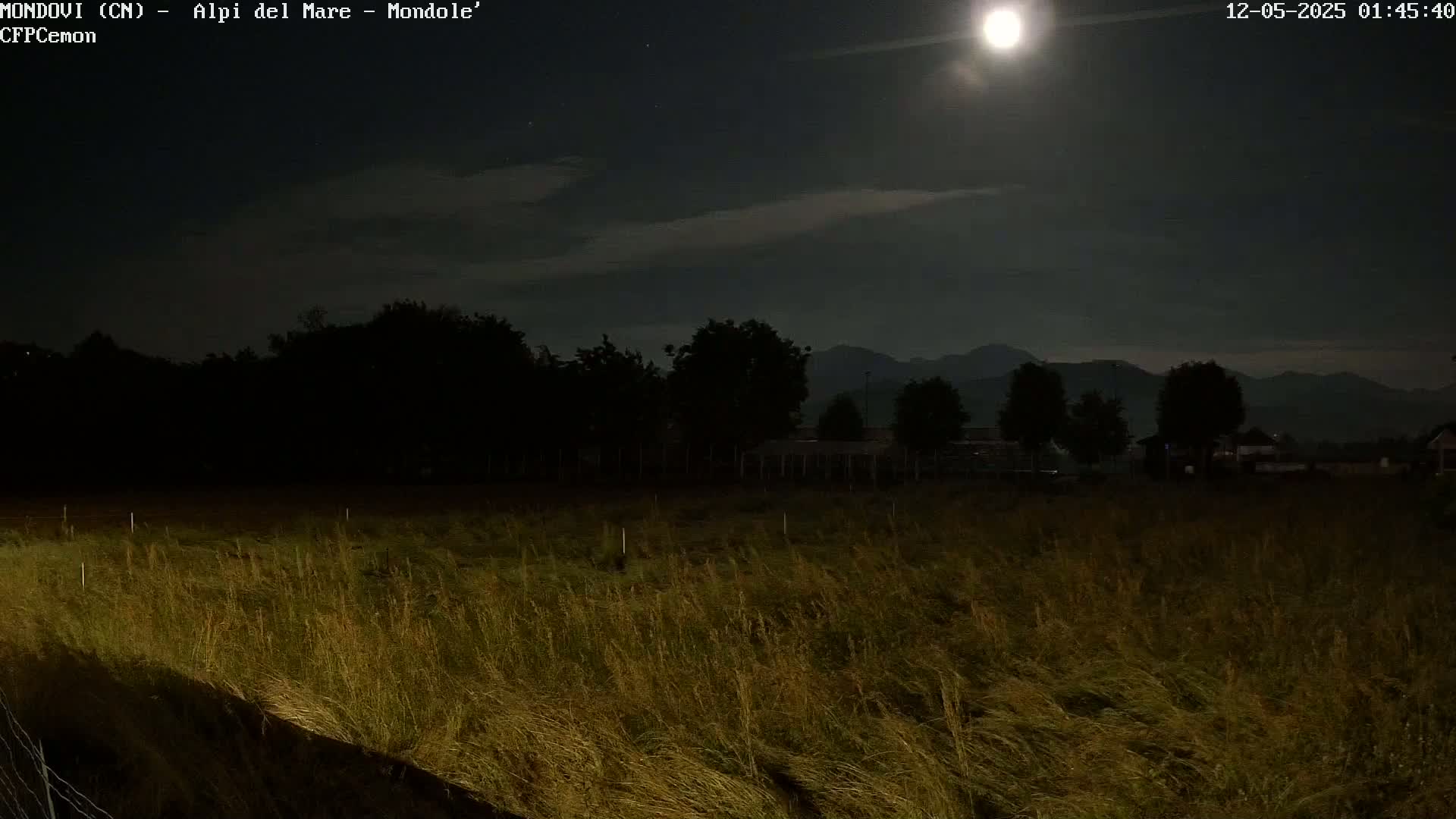 A field of tall grass under a bright moon and a mostly clear night sky, with dark silhouettes of trees and distant mountains in the background.