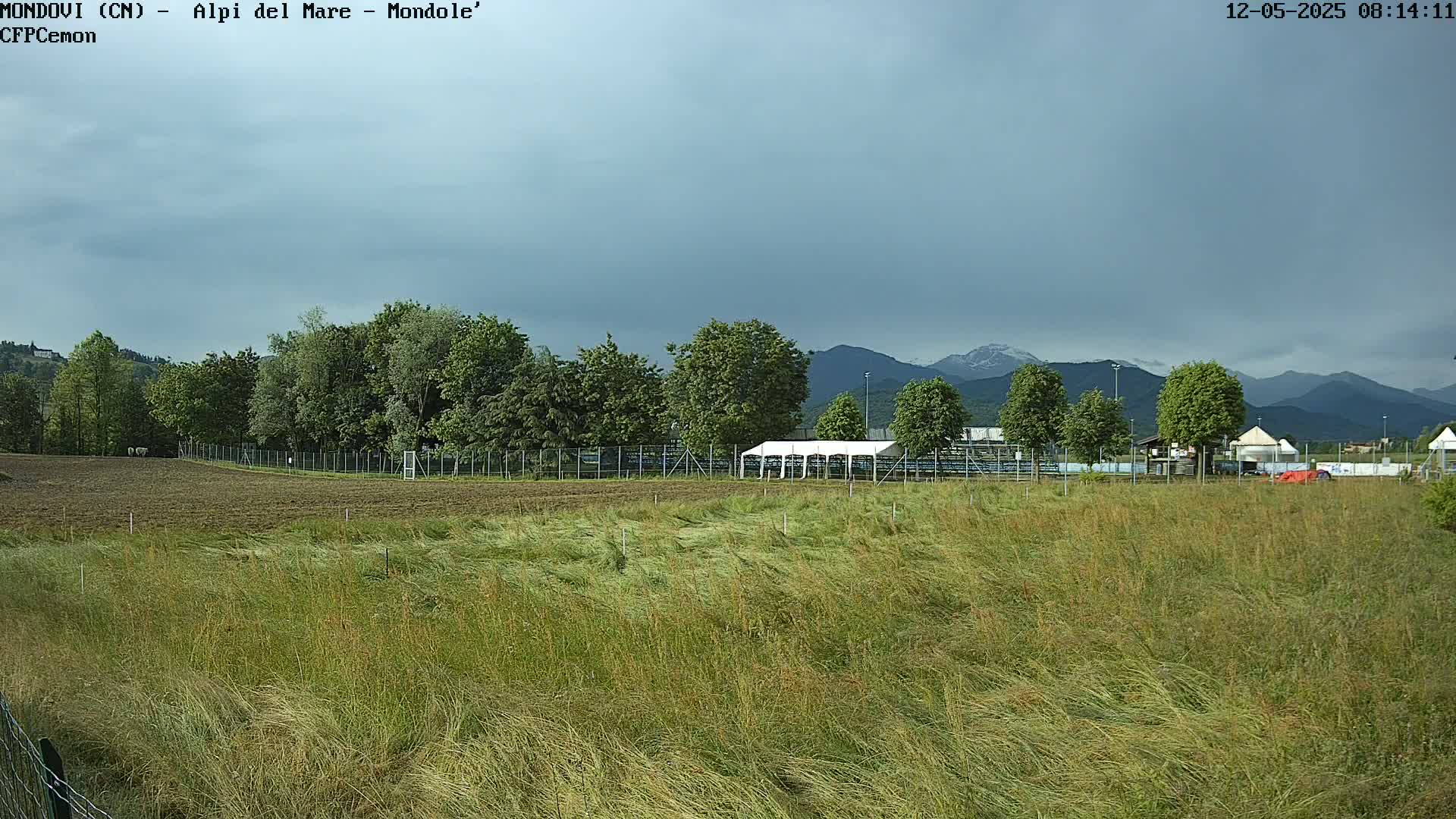 A grassy field with a line of trees and a large white tent behind a fence, under an overcast sky and distant mountains.
