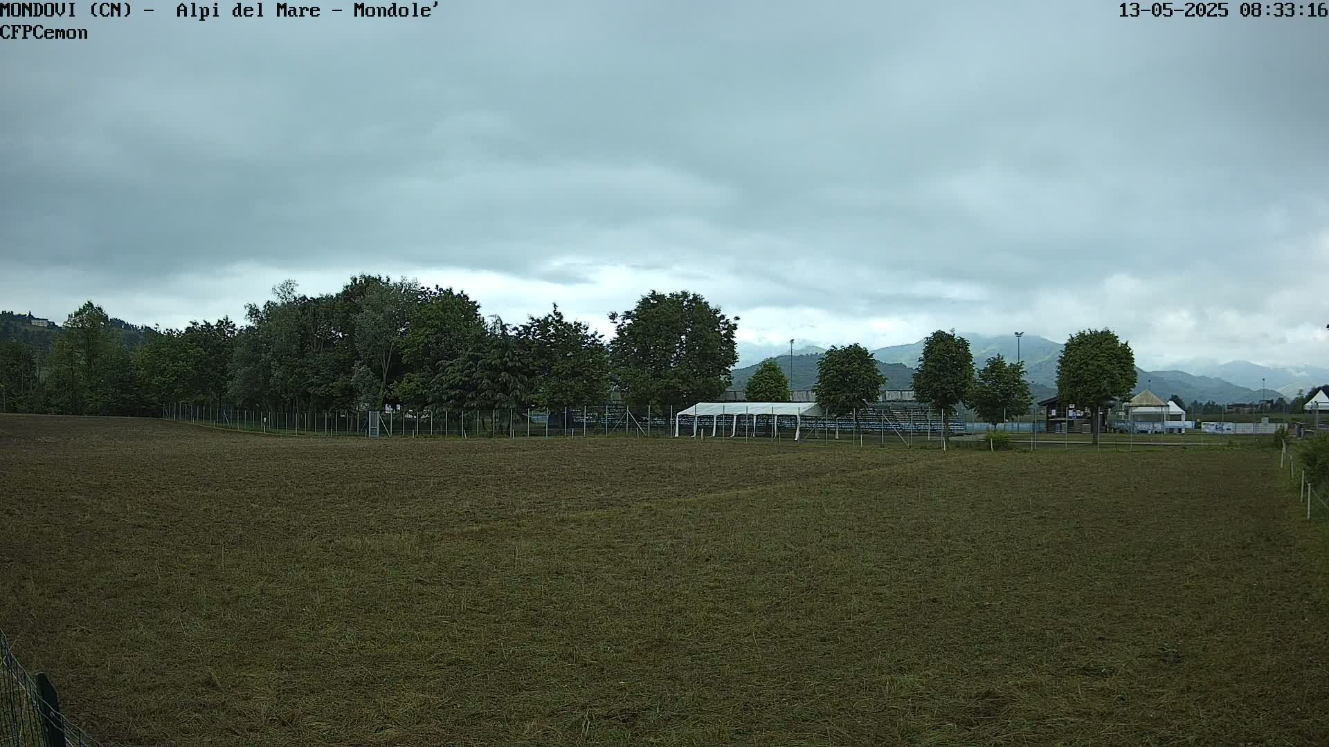 A flat, brown field extends to a line of trees and distant mountains under a cloudy sky.