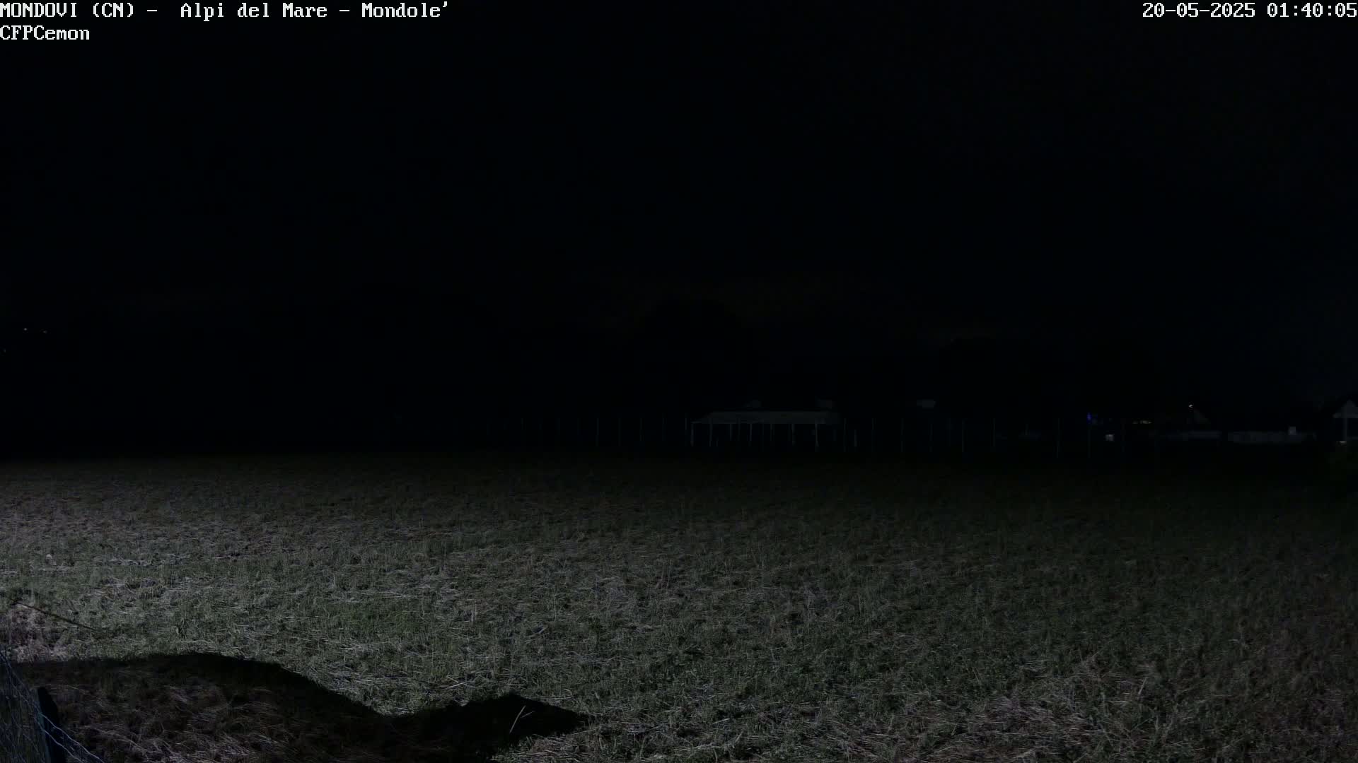 A dark, nighttime view of a grassy field with a fence in the foreground and indistinct structures in the distance.