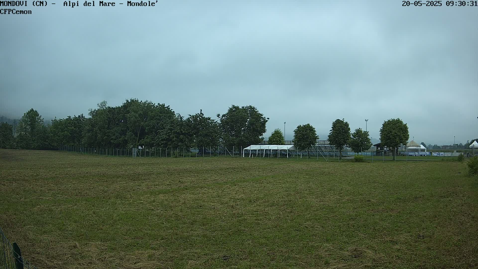 A grassy field with a line of trees and a white tent in the background under an overcast sky.