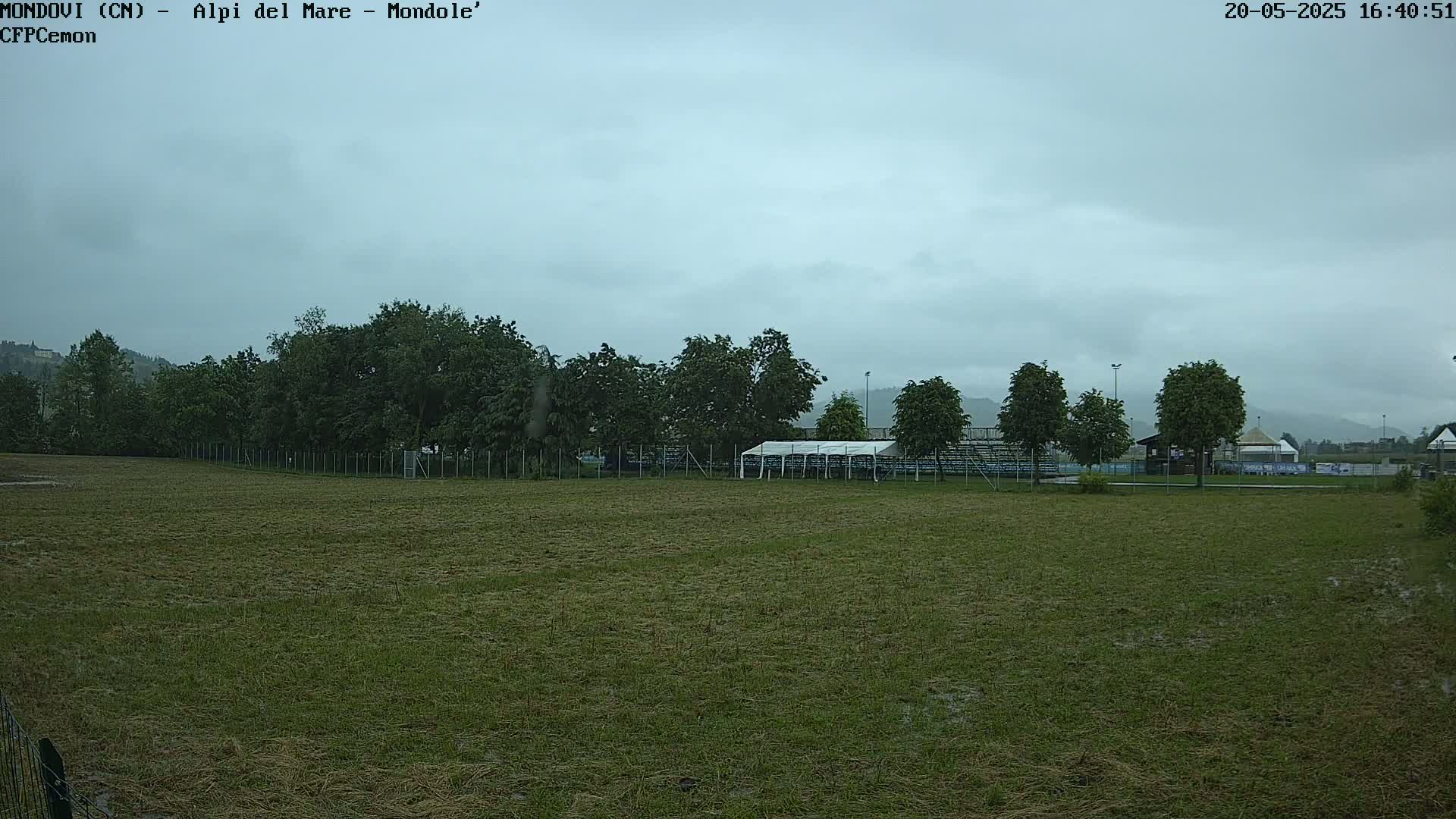 A large grassy field, wet from recent rain, stretches towards a line of trees and a small structure under an overcast sky.
