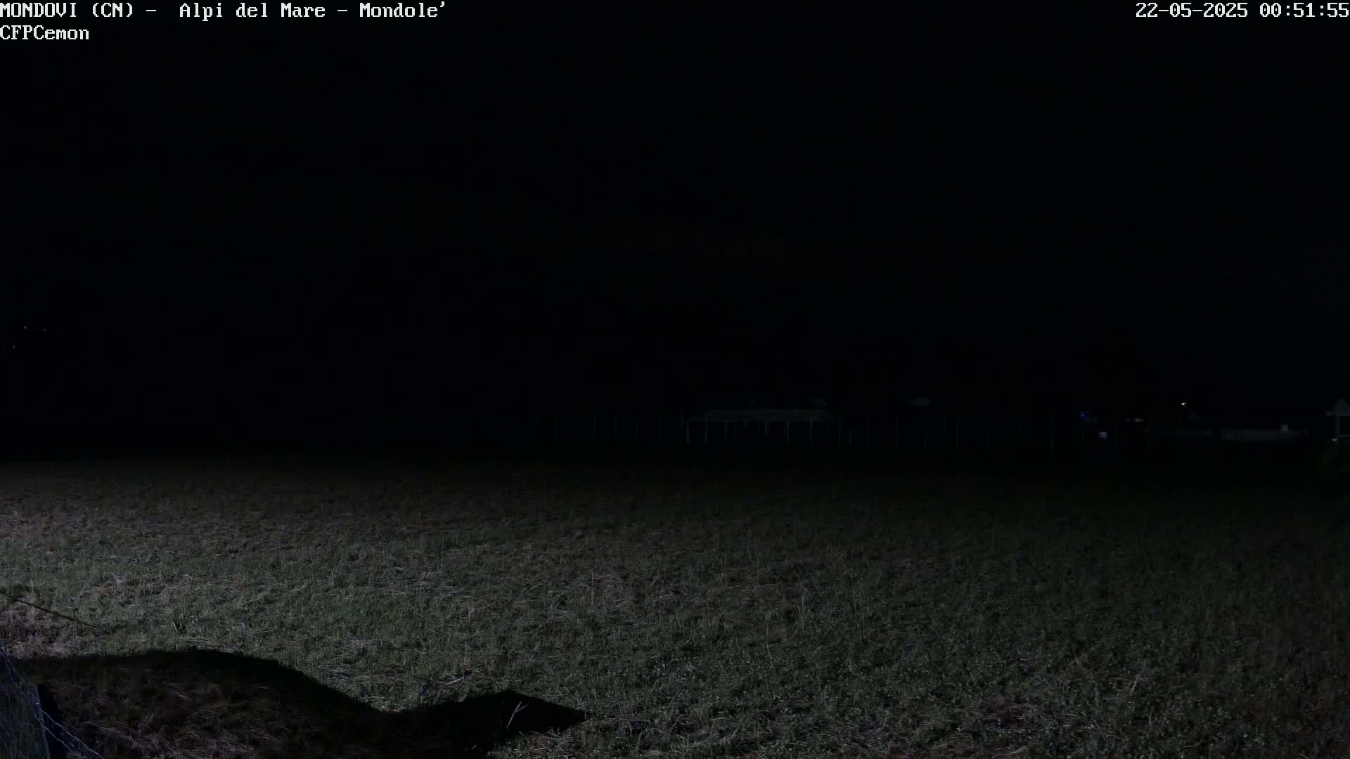 A dark nighttime scene shows a grassy field with a faint structure in the distance under a clear, dark sky.
