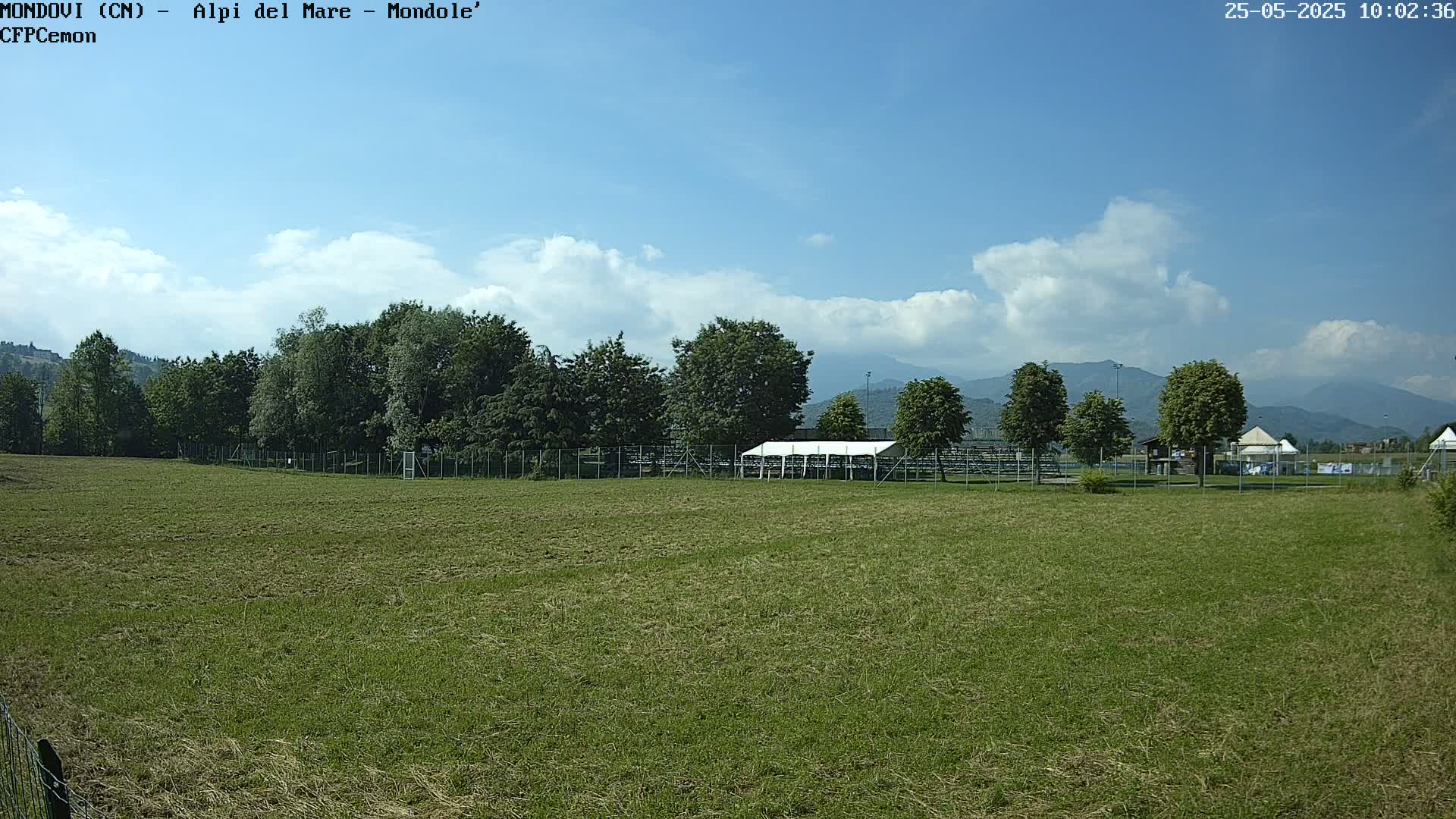 A grassy field stretches towards a line of trees and distant mountains under a mostly sunny sky with scattered cumulus clouds.