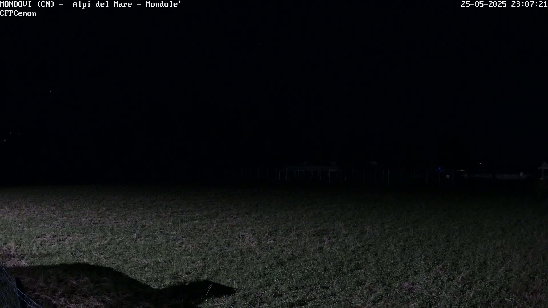 A dark, nighttime view of a grassy field under a clear sky, with a faint suggestion of structures in the distance.