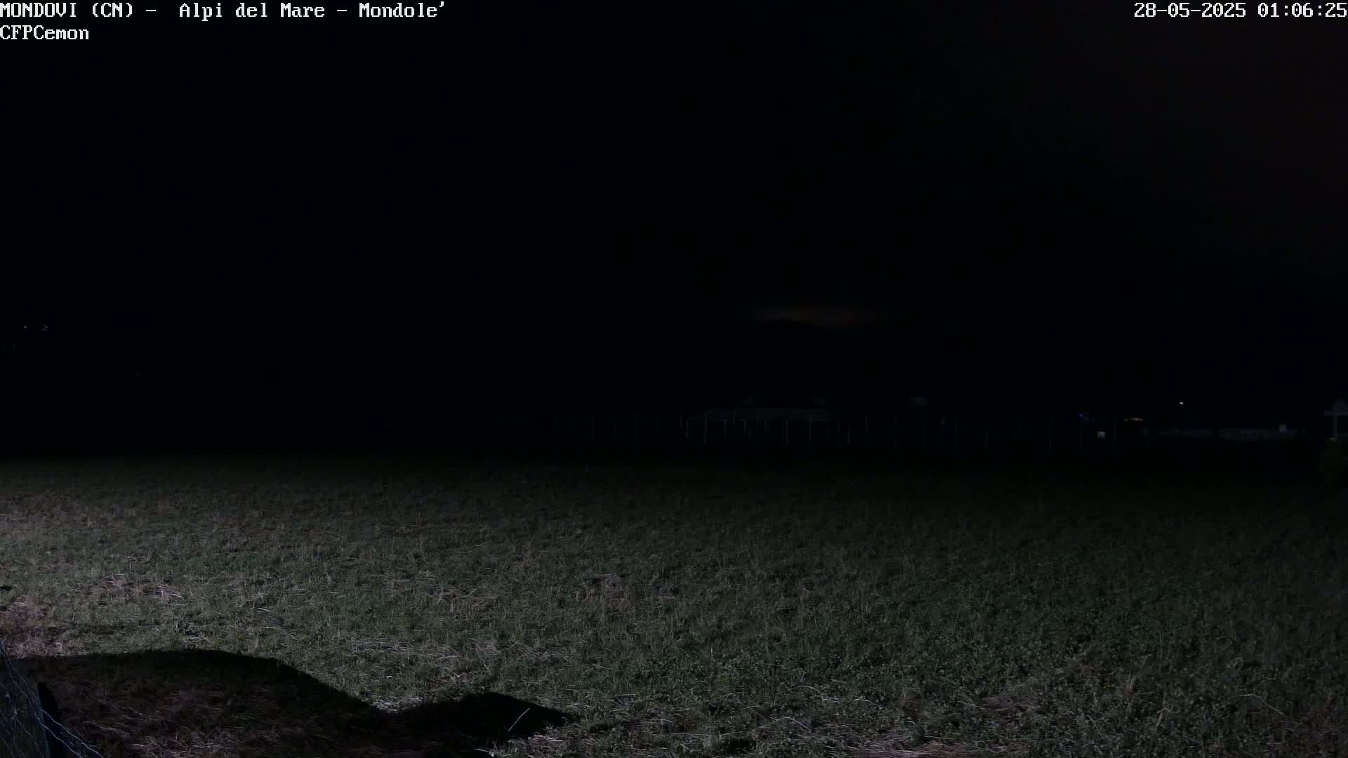 A dark, nighttime view of a grassy field, possibly under a mostly clear sky.