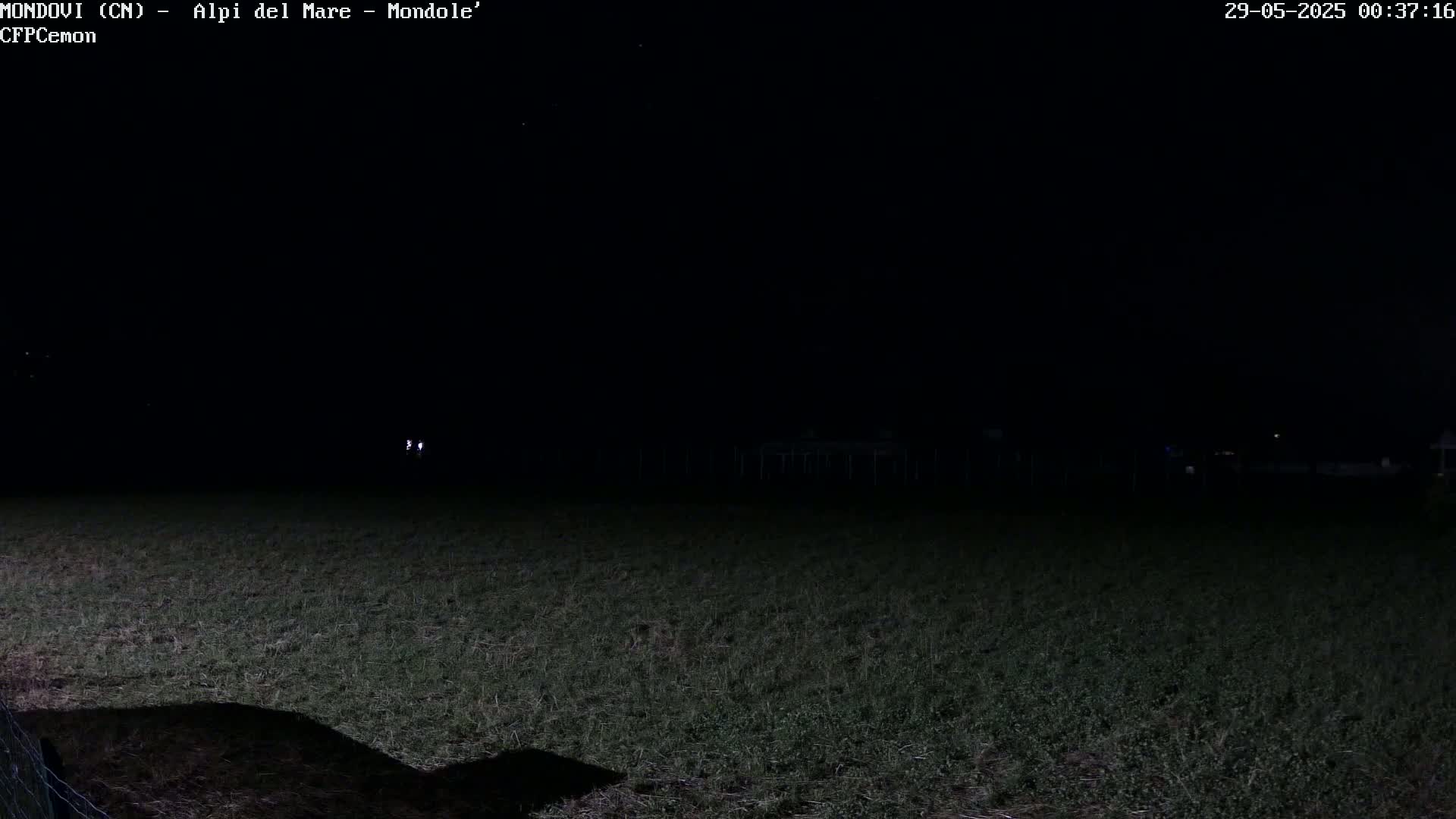 A dark, nighttime scene shows a field of grass with a few faint lights in the distance.