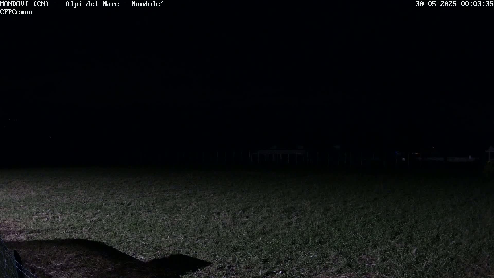 A dark, nighttime view of a grassy field, possibly a pasture, with a fence visible in the bottom left corner.