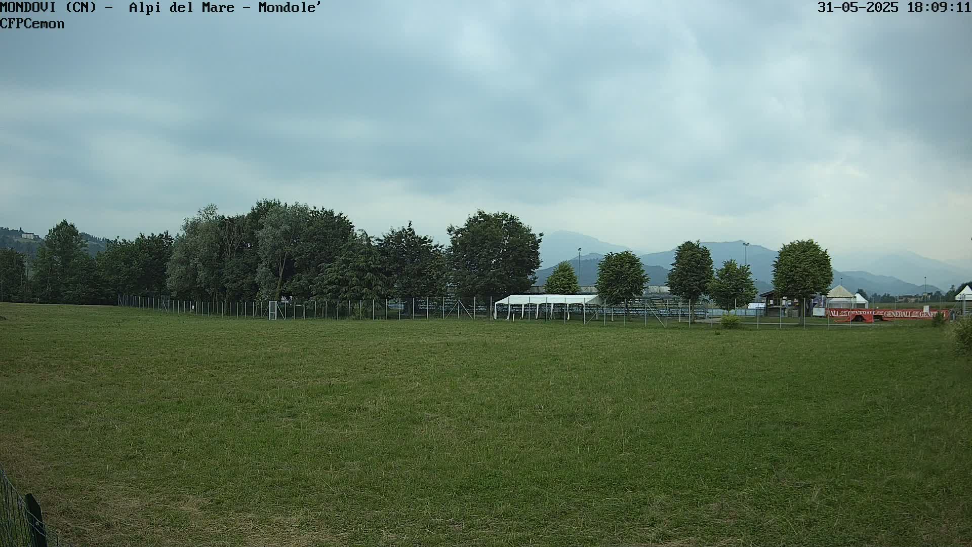 A large grassy field stretches towards a line of trees and distant mountains under a cloudy sky.