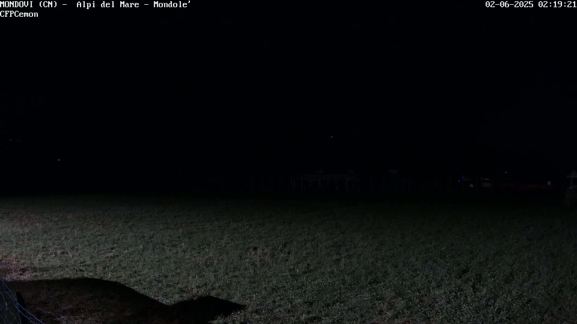 A dark, nighttime scene shows a field of grass under a clear, starlit sky.