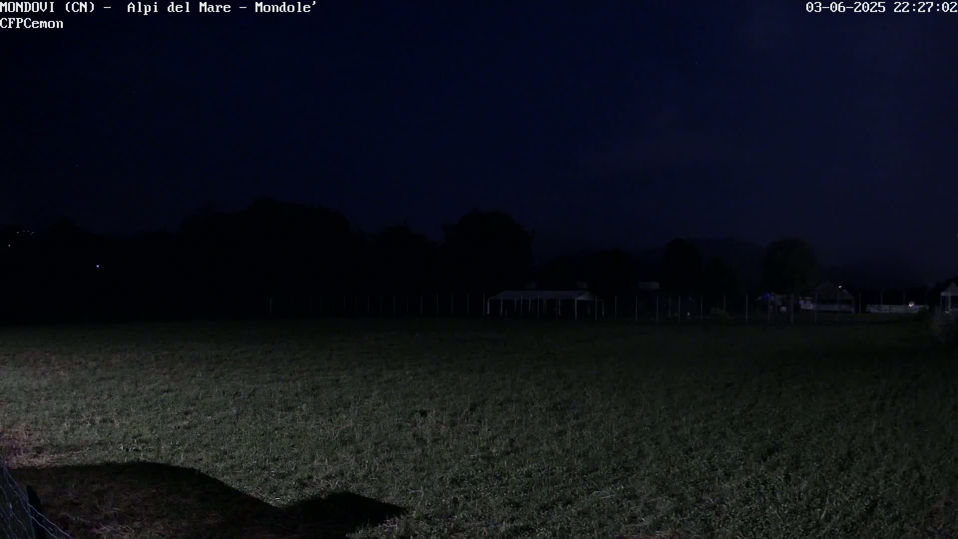 A dark, nighttime view of a grassy field with a treeline and a structure in the background under a clear, dark sky.