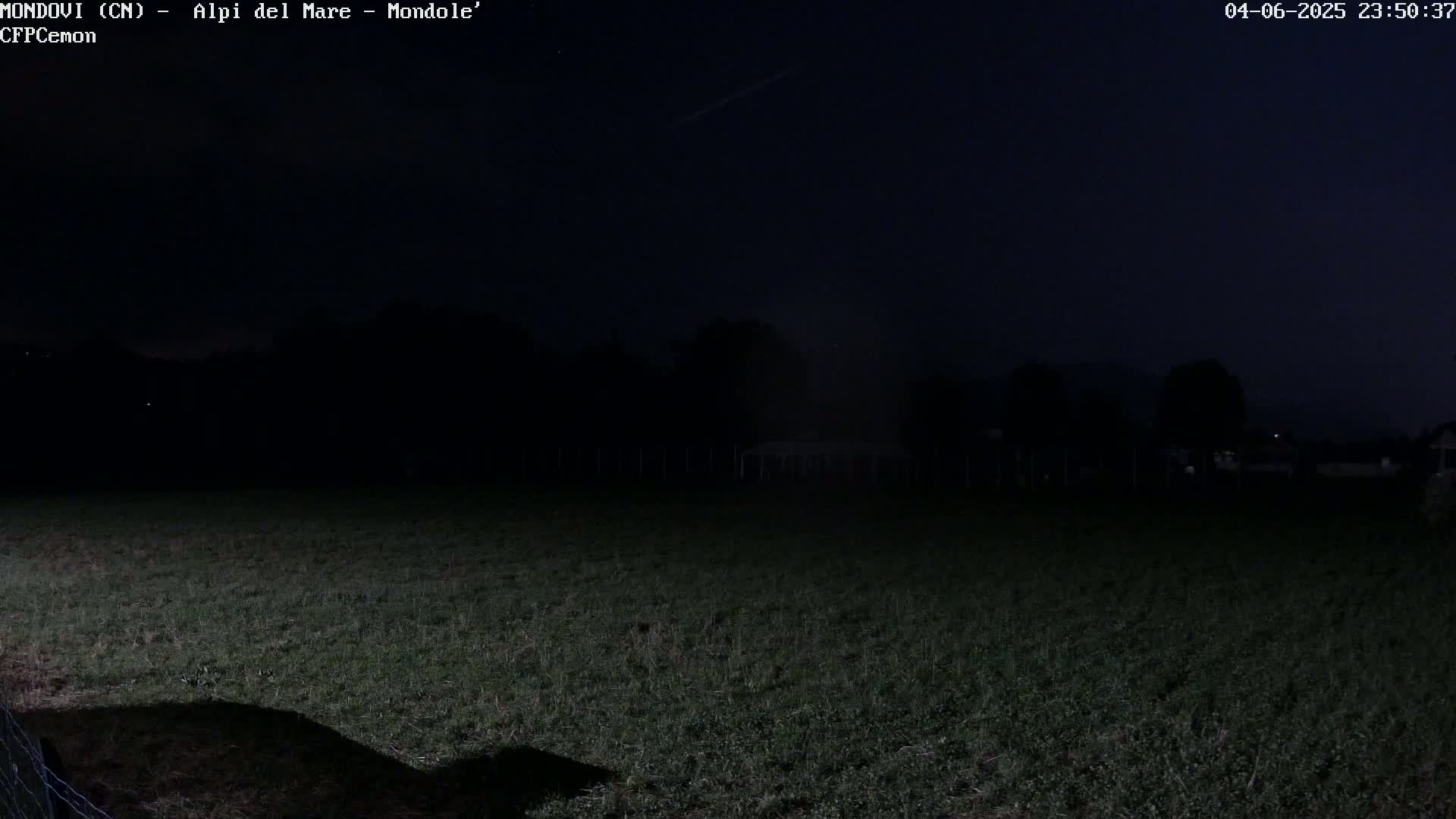A dark, nighttime view of a grassy field, bordered by a fence, with a line of trees and a structure in the distance under a mostly clear sky.