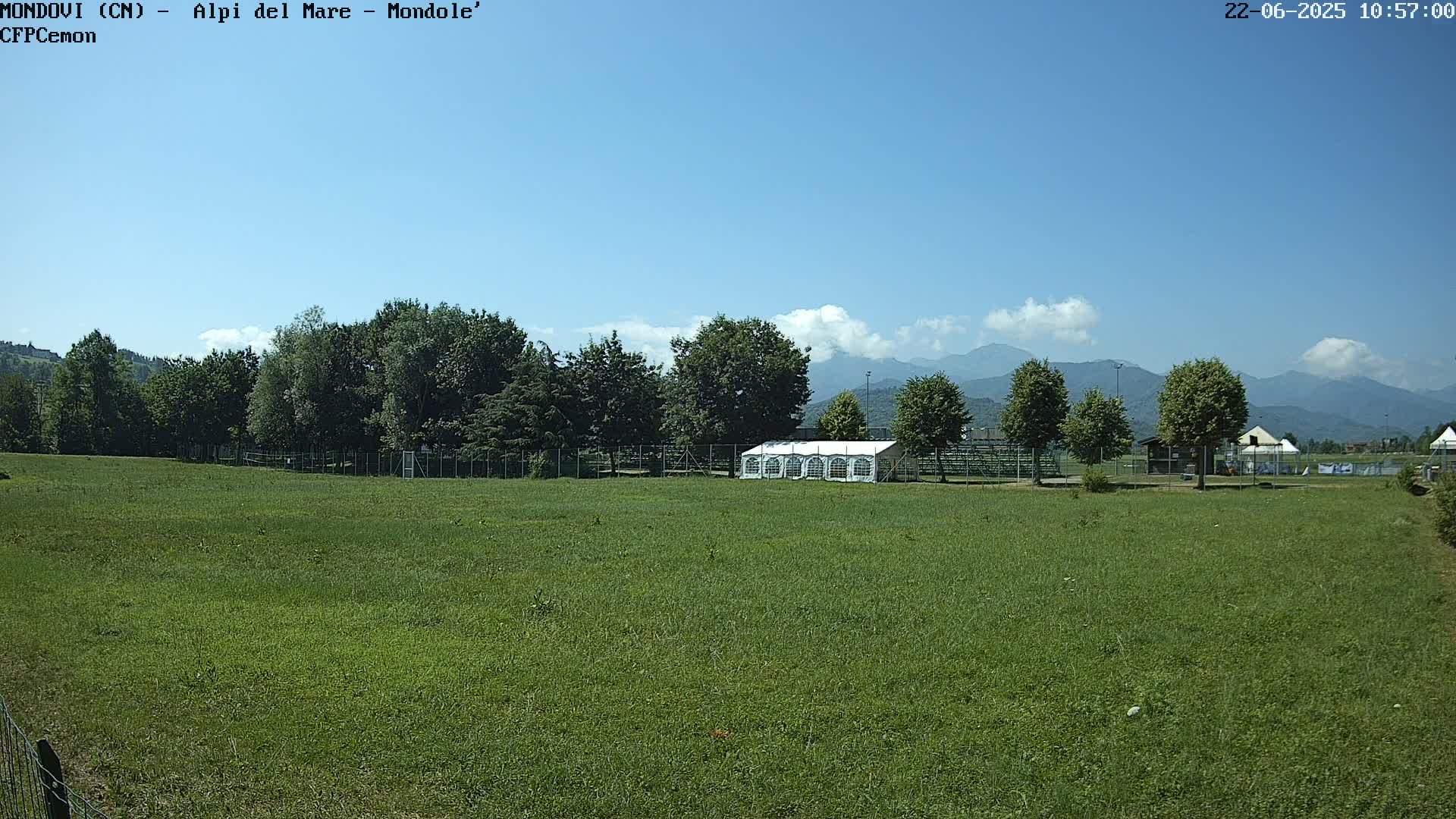 A large grassy field stretches towards a line of trees and distant mountains under a mostly clear blue sky.