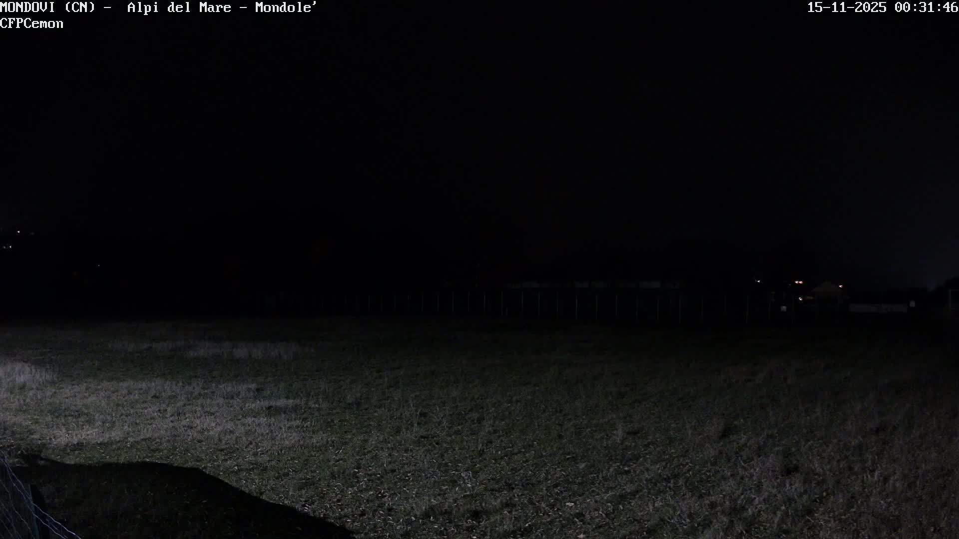 A dimly lit grassy field stretches towards a distant fence line and faint lights under a clear night sky.