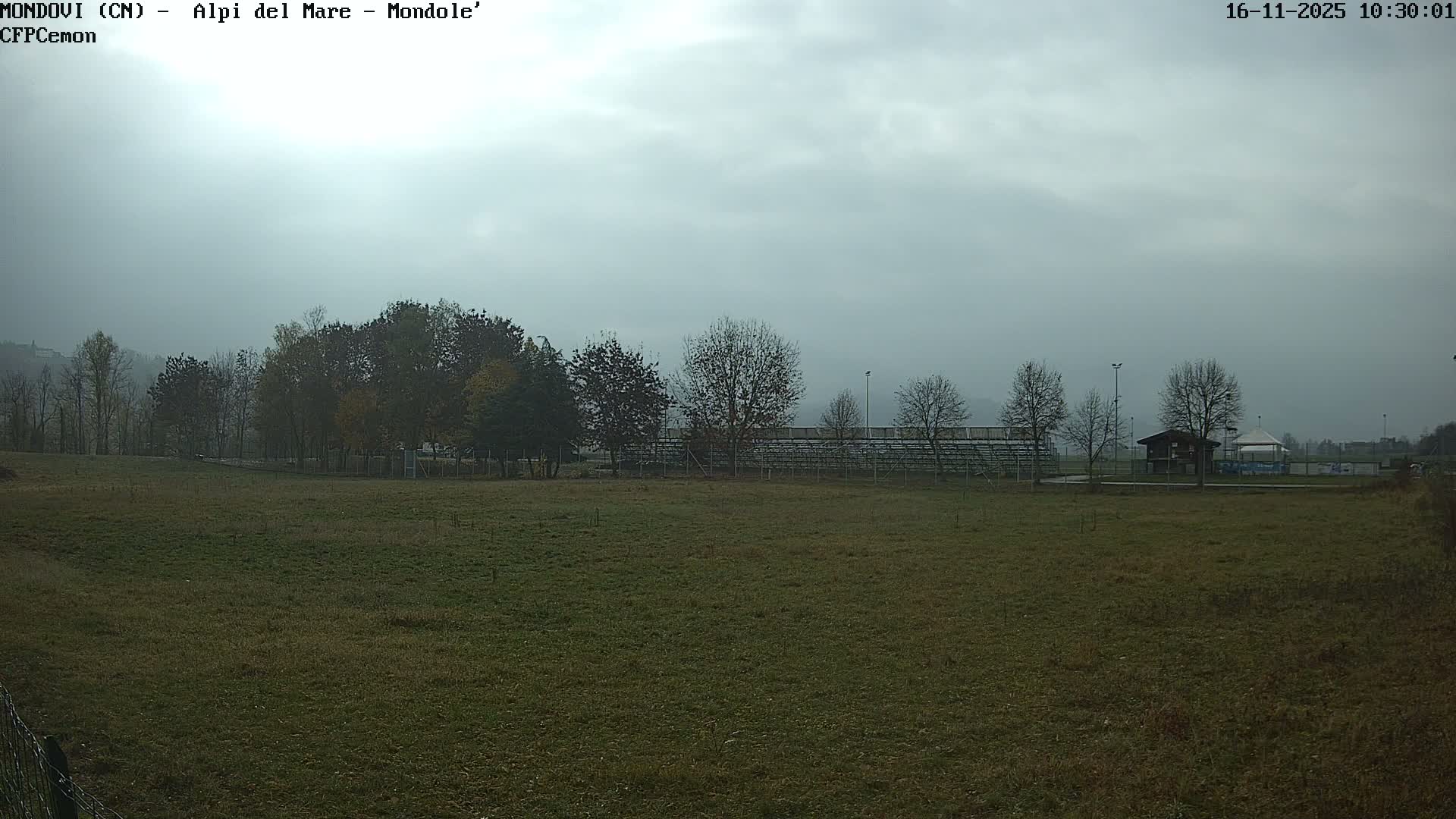 A wide, somewhat overgrown grassy field extends to a line of trees and sports facility structures under a uniformly grey, overcast, and hazy sky.