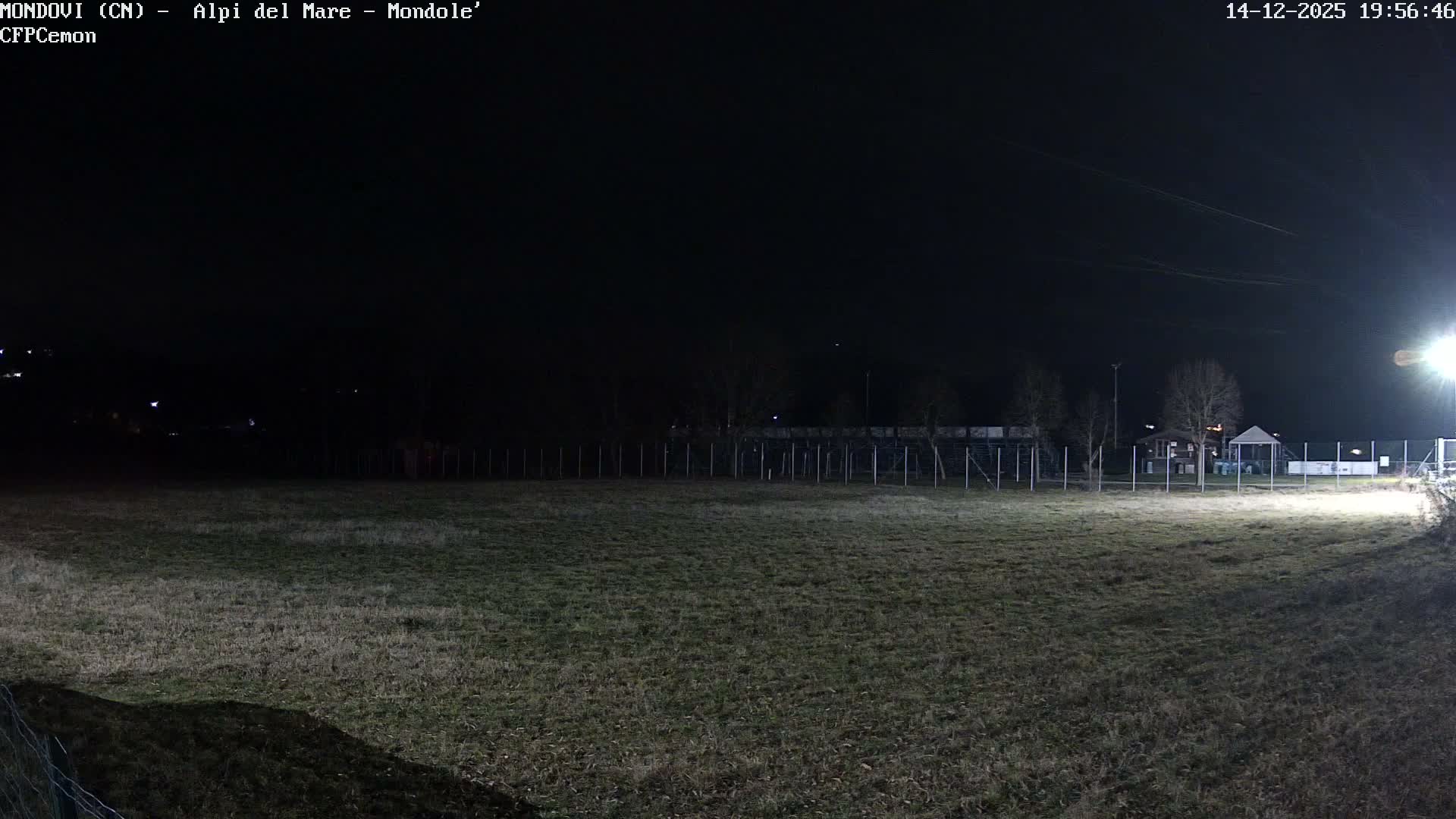 The scene depicts a wide green field in the foreground, bordered by bare deciduous trees and some evergreens in the midground, with temporary bleacher-like structures and buildings visible under a uniformly overcast sky, and snow-dusted mountains in the distant background.