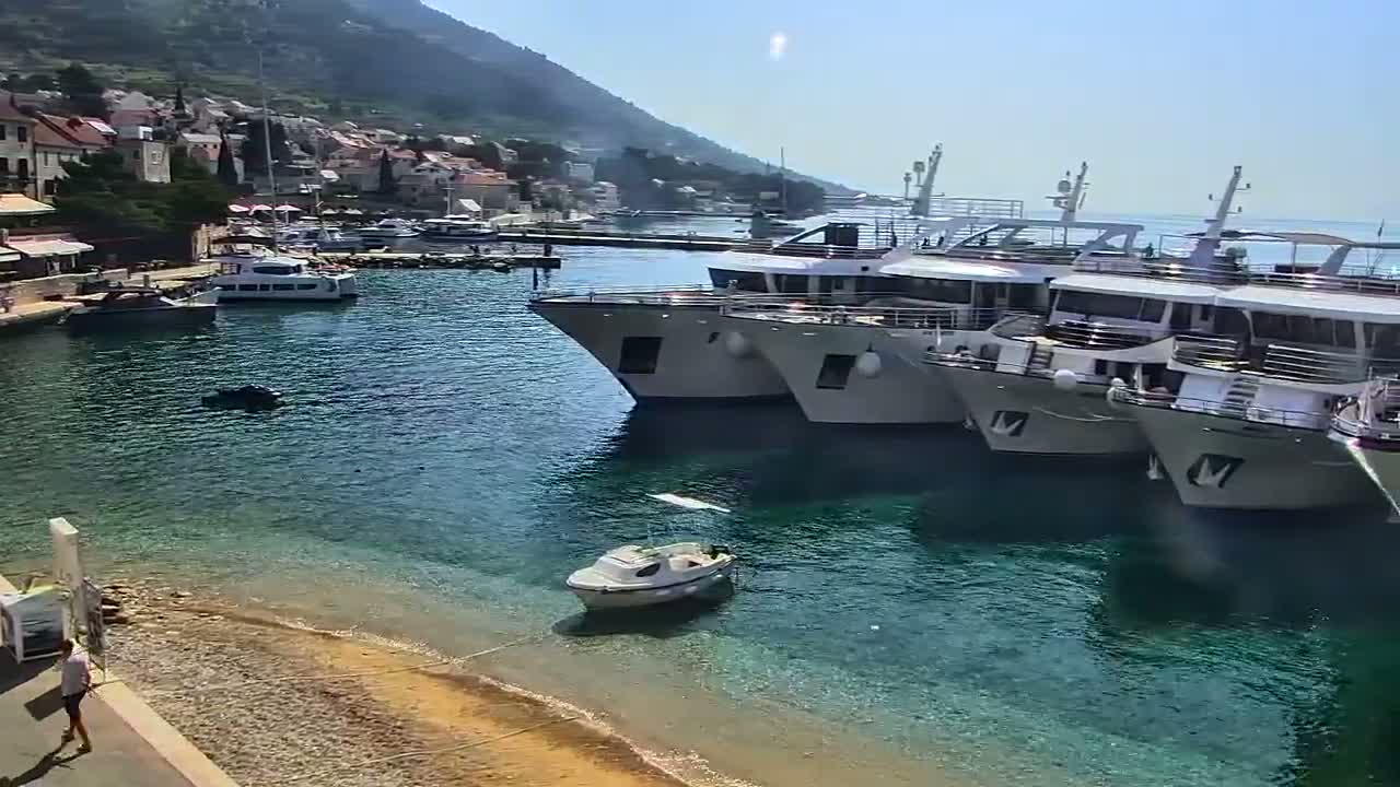 Several large yachts are moored in a harbor next to a small town nestled against a hillside on a sunny day.