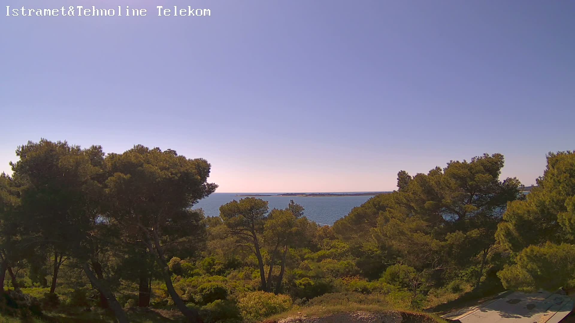 A clear, sunny day reveals a tranquil sea view from a hillside covered in lush, green pine trees.